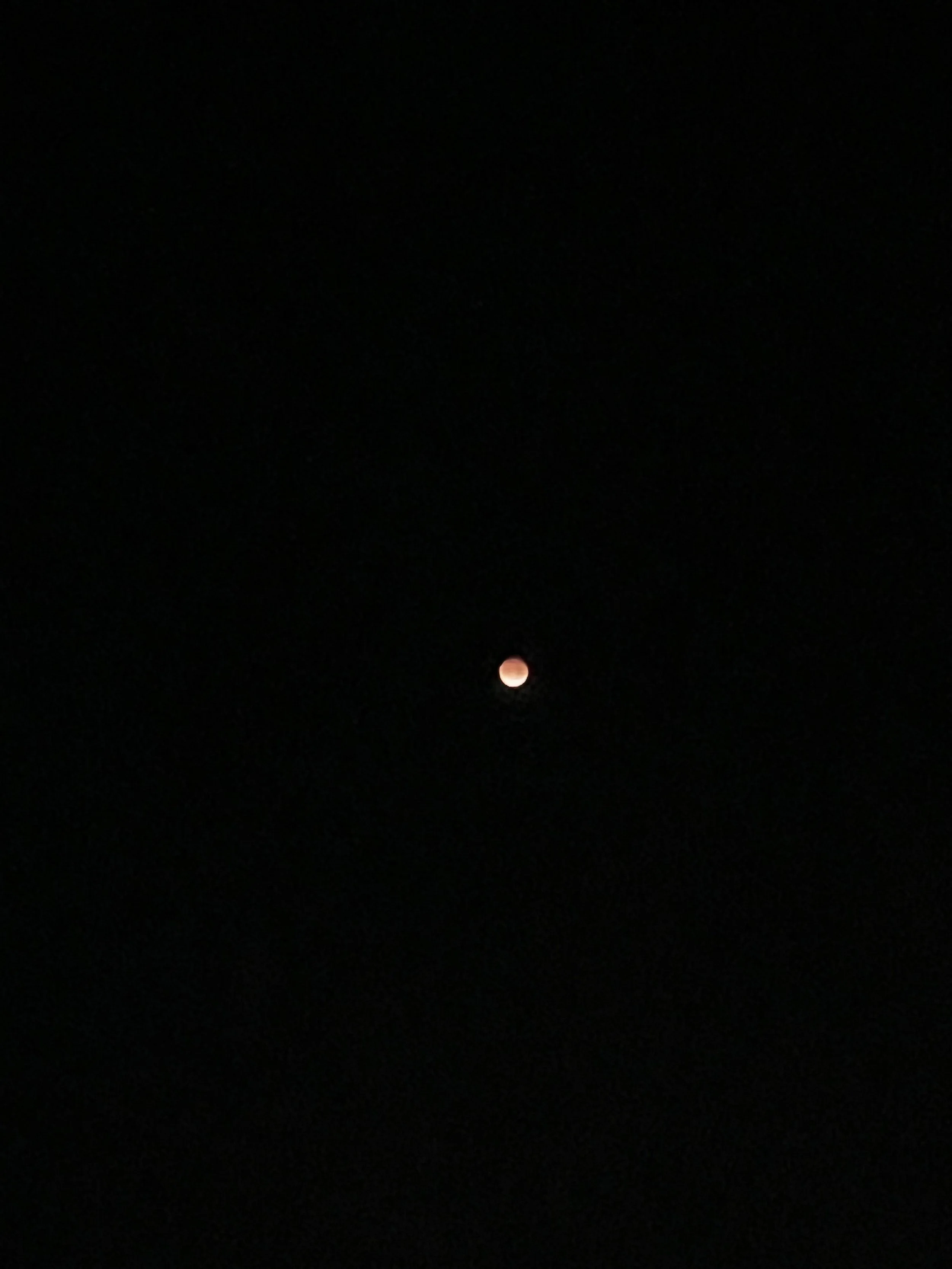 I stayed up for the blood moon. It was beautiful here in New Mexico, despite everything.