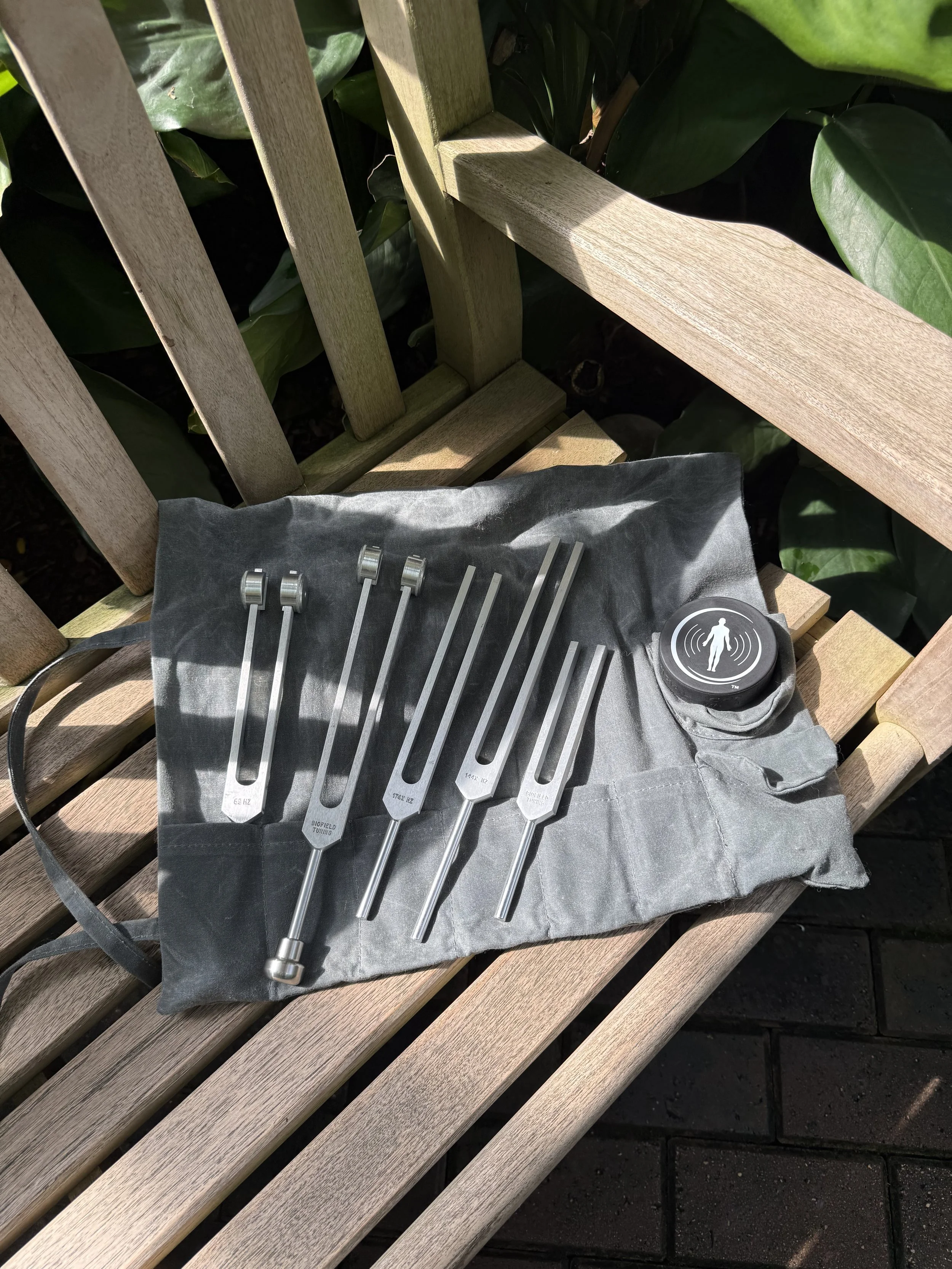 Standard Biofield Tuning Session -45 minutes-