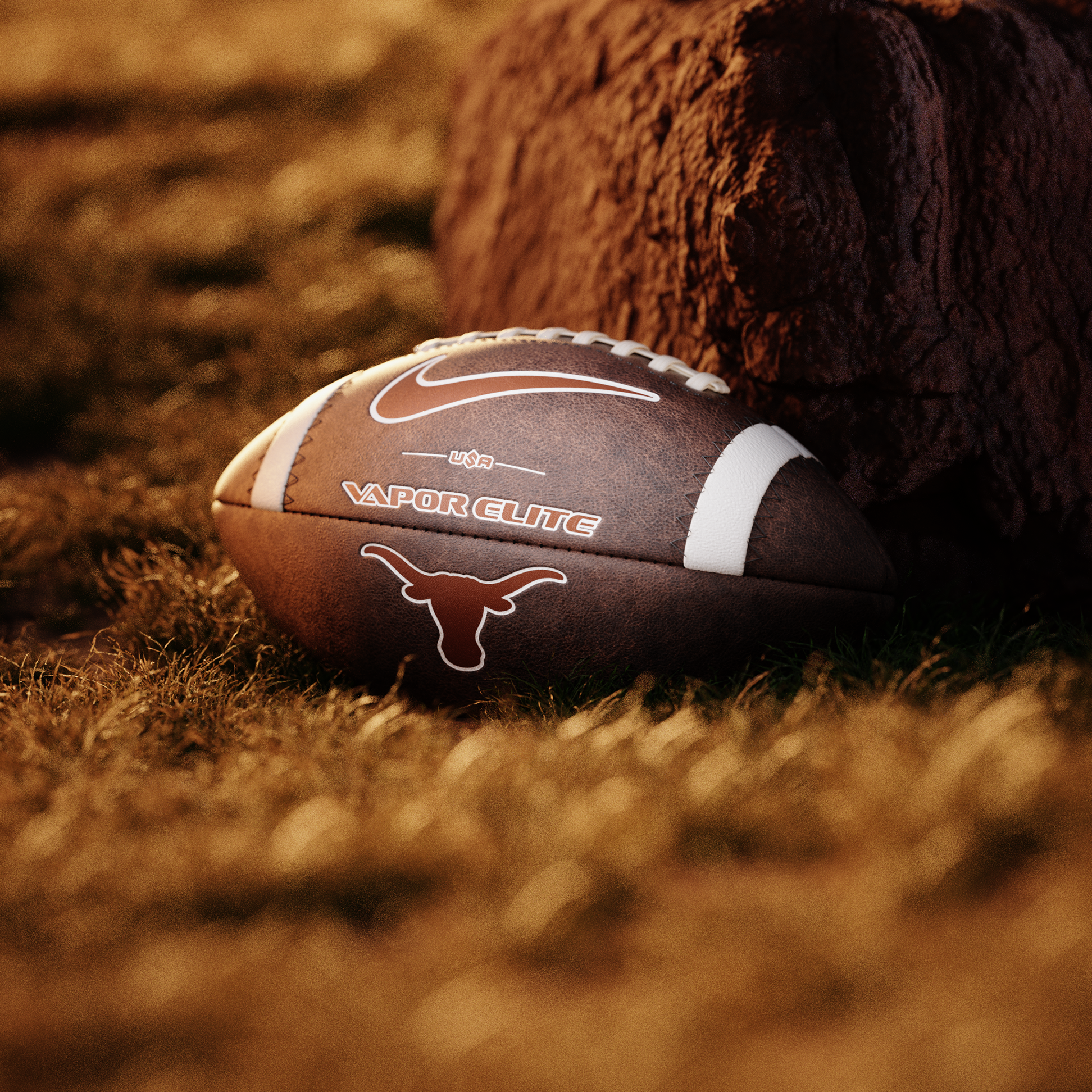 Texas Longhorn Branded Nike Football 