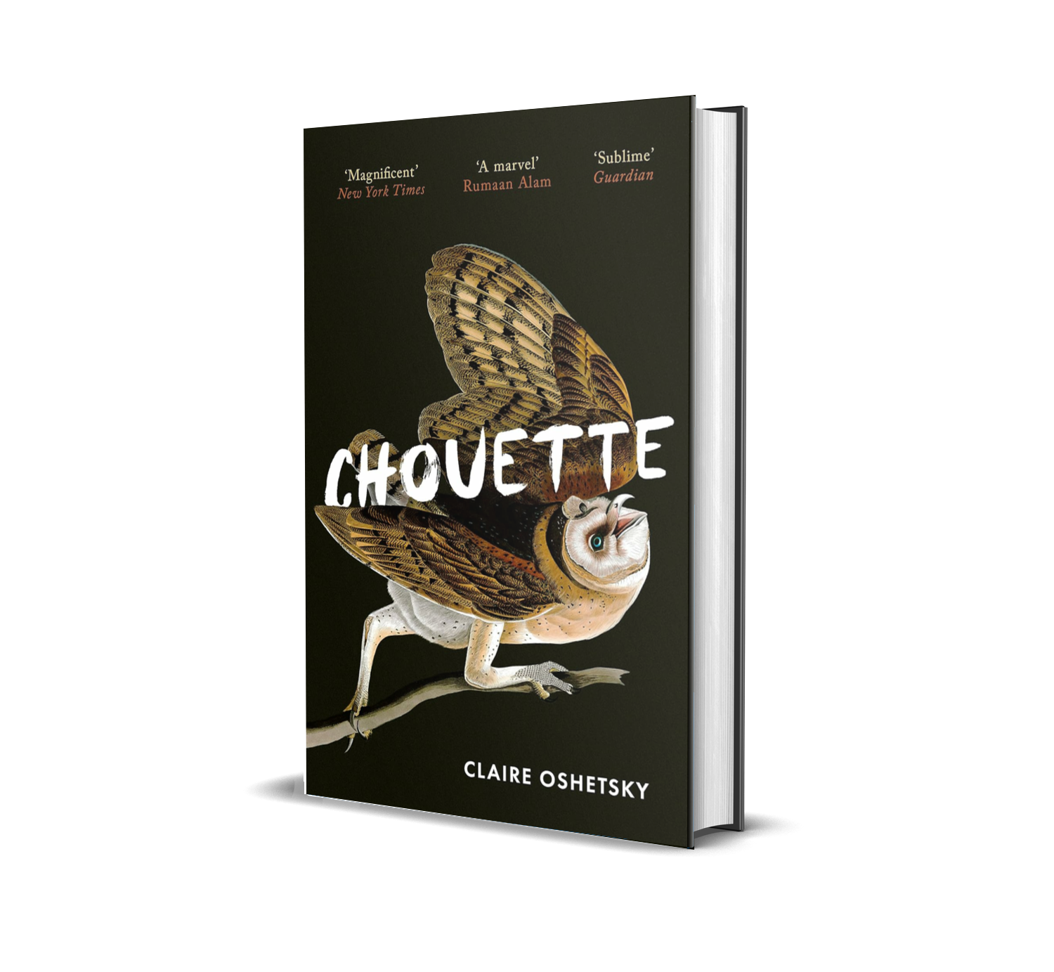 Book cover titled 'Chouette' by Claire Oshetsky featuring an illustration of an owl with butterfly wings against a black background.