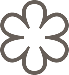 Stylized black flower with six rounded petals.