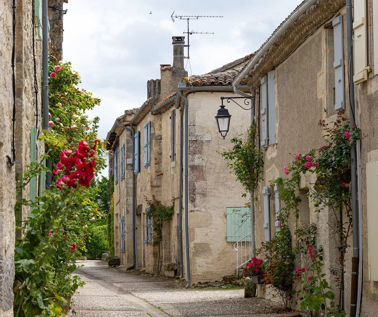 A narrow European street lined with old stone houses with pastel-colored shutters and blooming pink and red roses climbing the walls, under a cloudy sky.