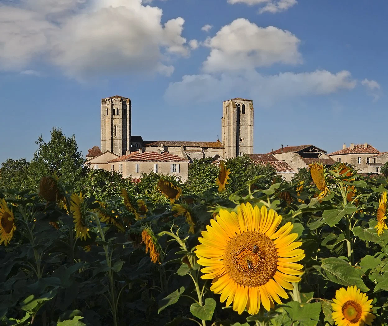 A field of blooming sunflowers with an old European village and two tall stone church towers in the background under a partly cloudy sky.