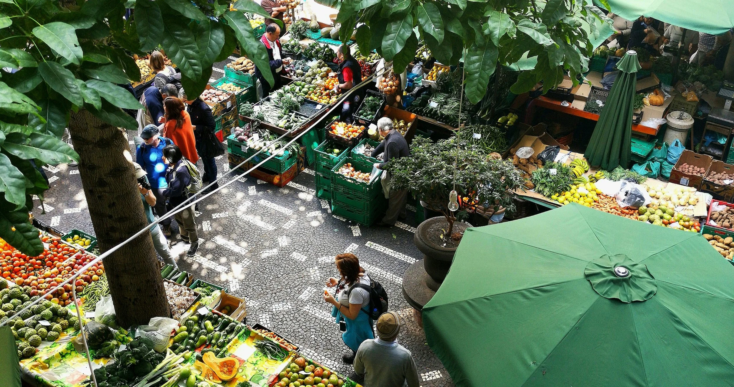 View of a lively outdoor market with various stalls selling fresh fruits and vegetables. Market shoppers browse the produce under large green umbrellas and leafy trees, creating a vibrant shopping scene.