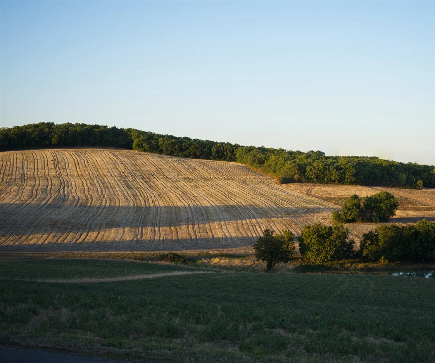 A rural landscape with a gently sloping hill covered in harvested farmland, scattered trees, and a clear blue sky.
