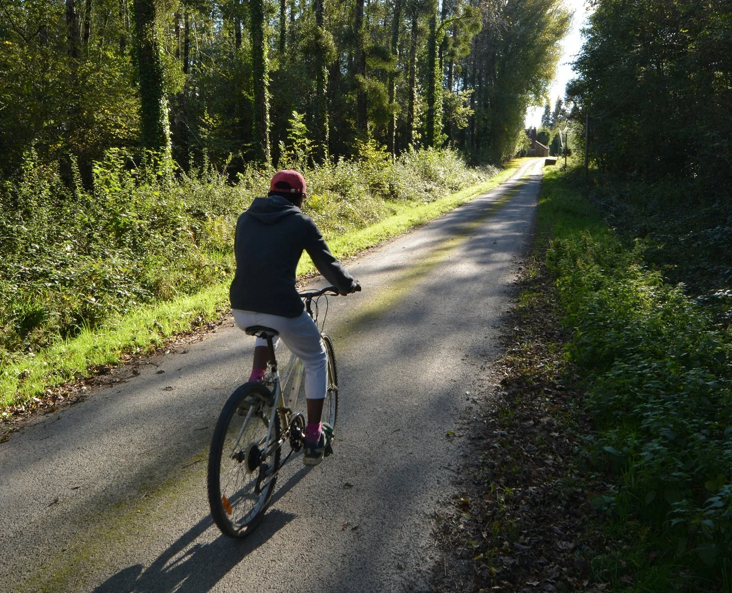 Person riding a bicycle on a rural paved road through a wooded area during daytime.