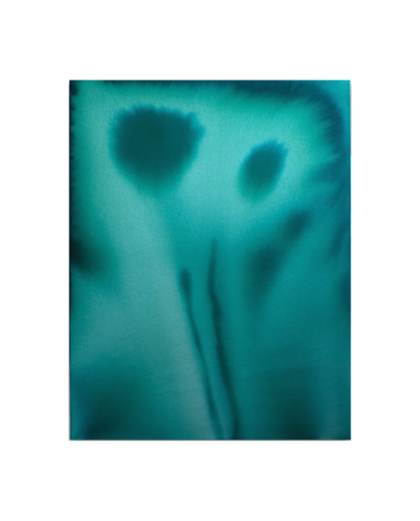 SPACE ELEPHANT / 
2025 / 
90 x 70 cm / 
Tusche auf roher Baumwolle