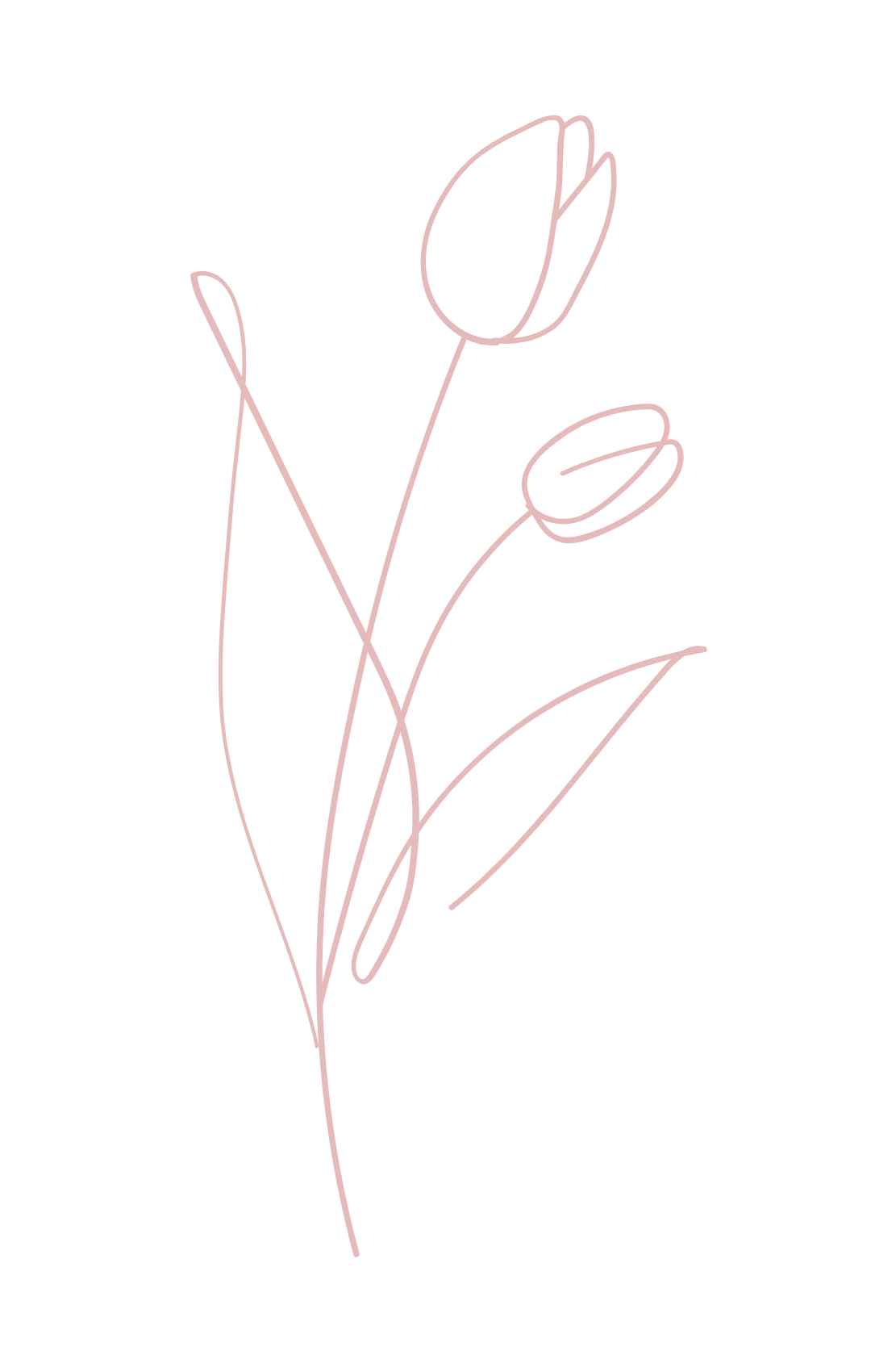 bonita skin flower icon