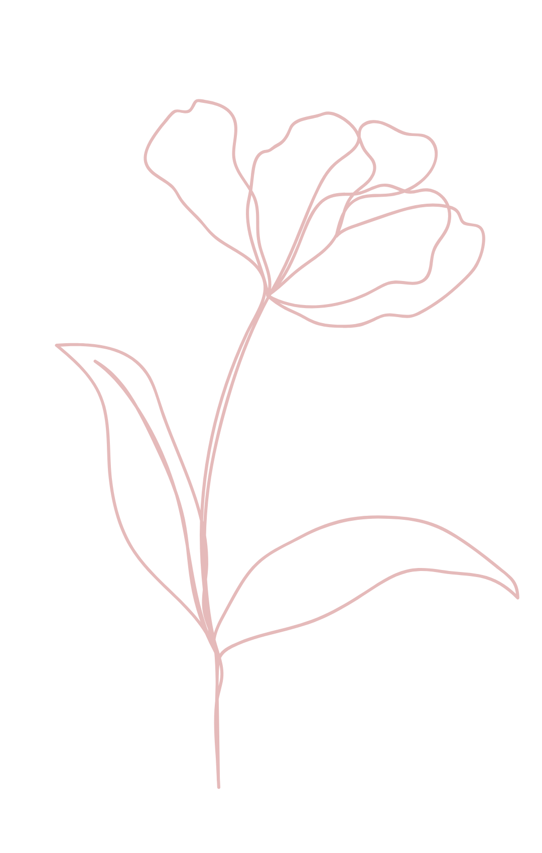 bonita skin flower icon skin care tampa