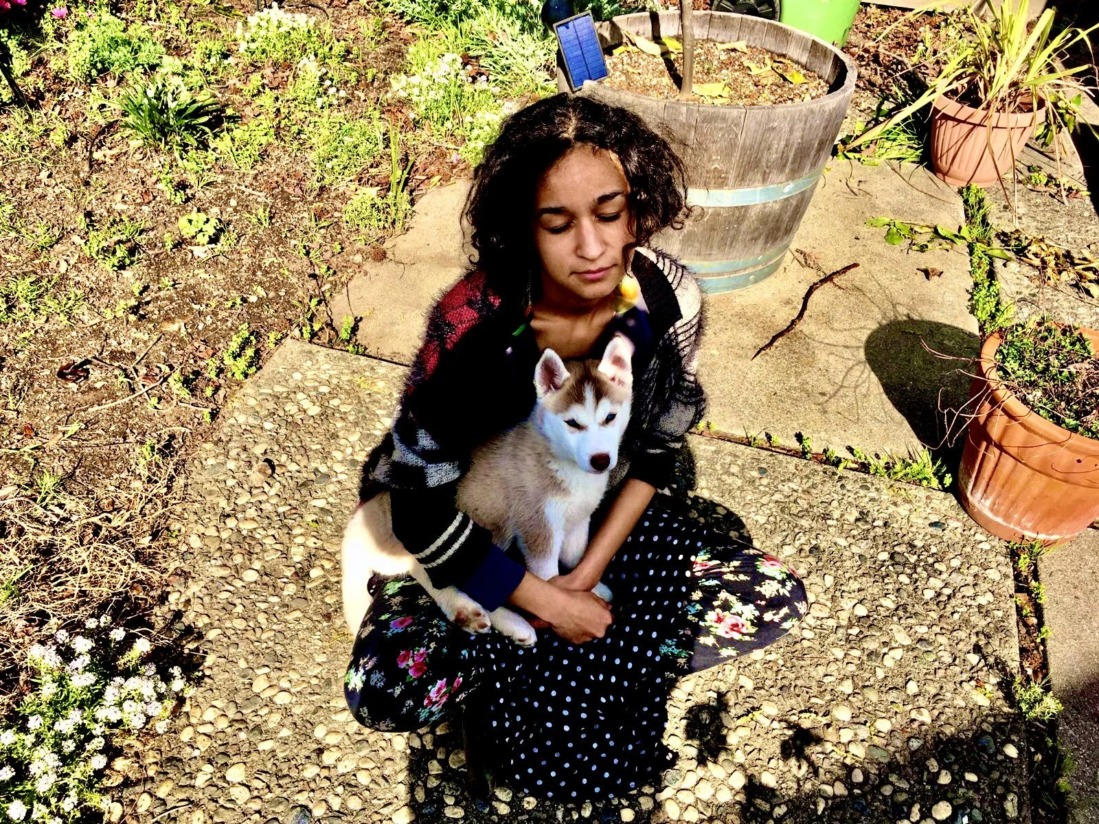 Dawn Bratton, poet and writer, sitting in garden with husky puppy while writing poetry