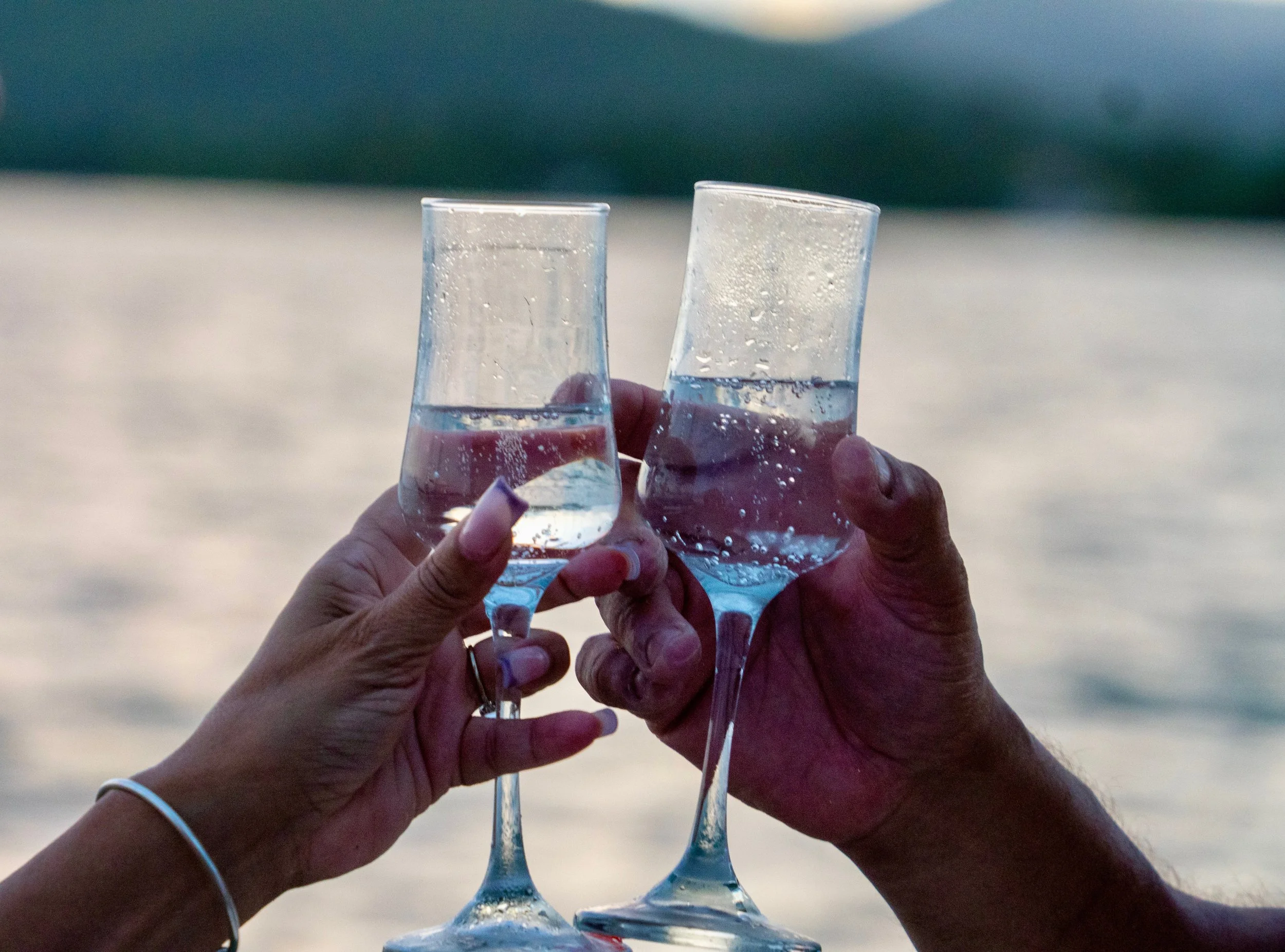 Personas brindando con copas de champán en un atardecer frente al agua.