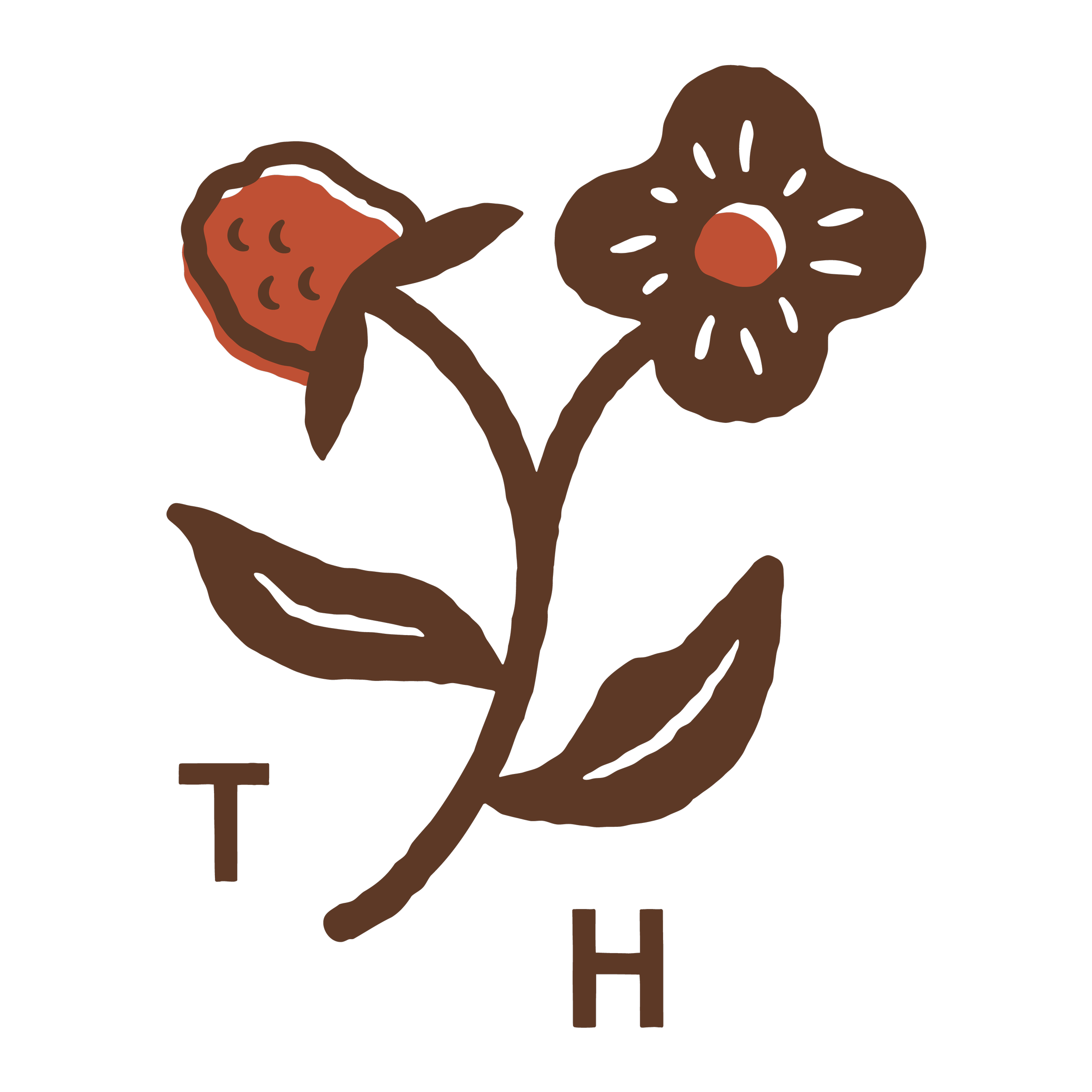 A brown flower with two petals, a stem, and two leaves, with the letters 'T' and 'H' beneath it.