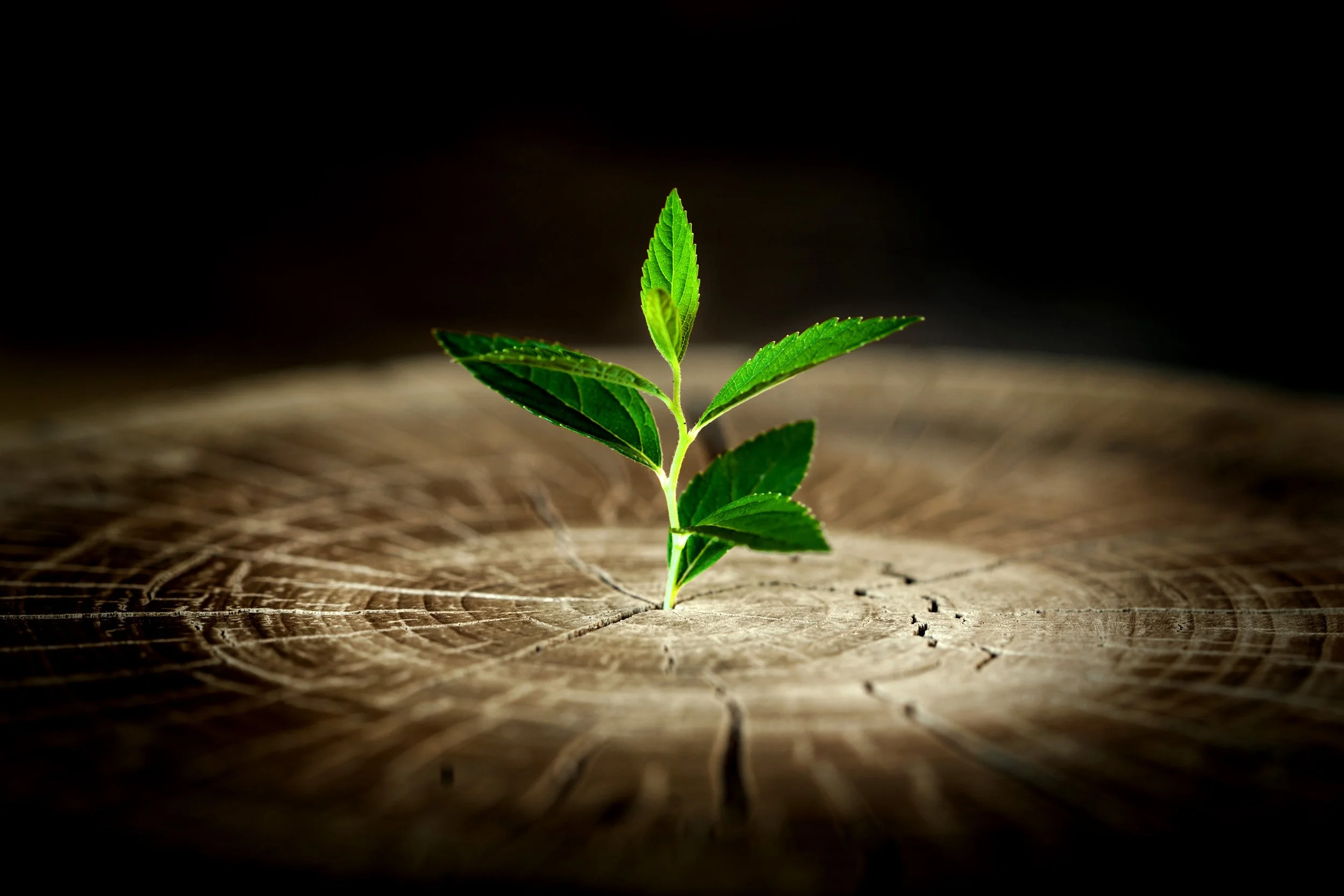 Initial consult with Robyn Mourning