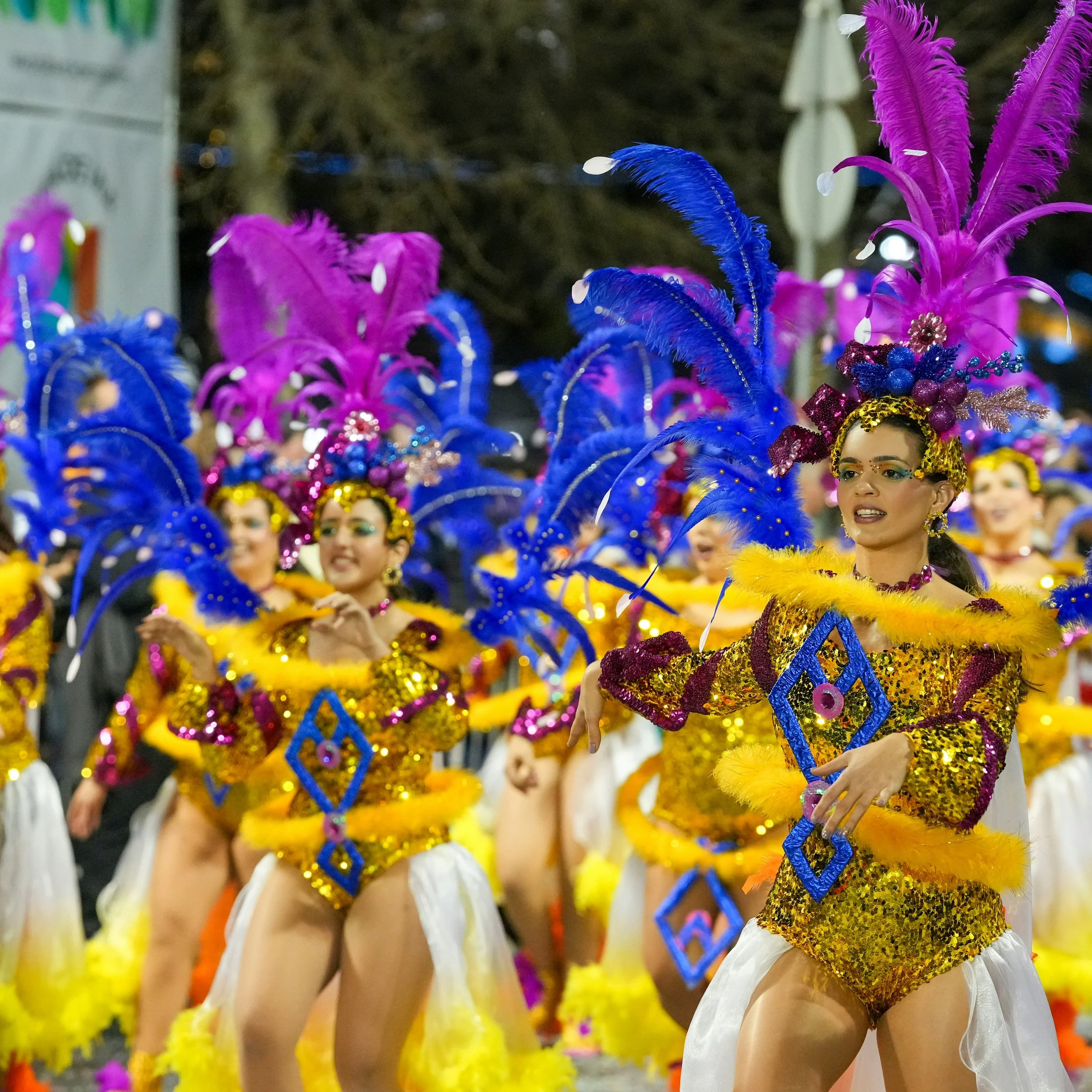 2 - Rio Carnival.jpg