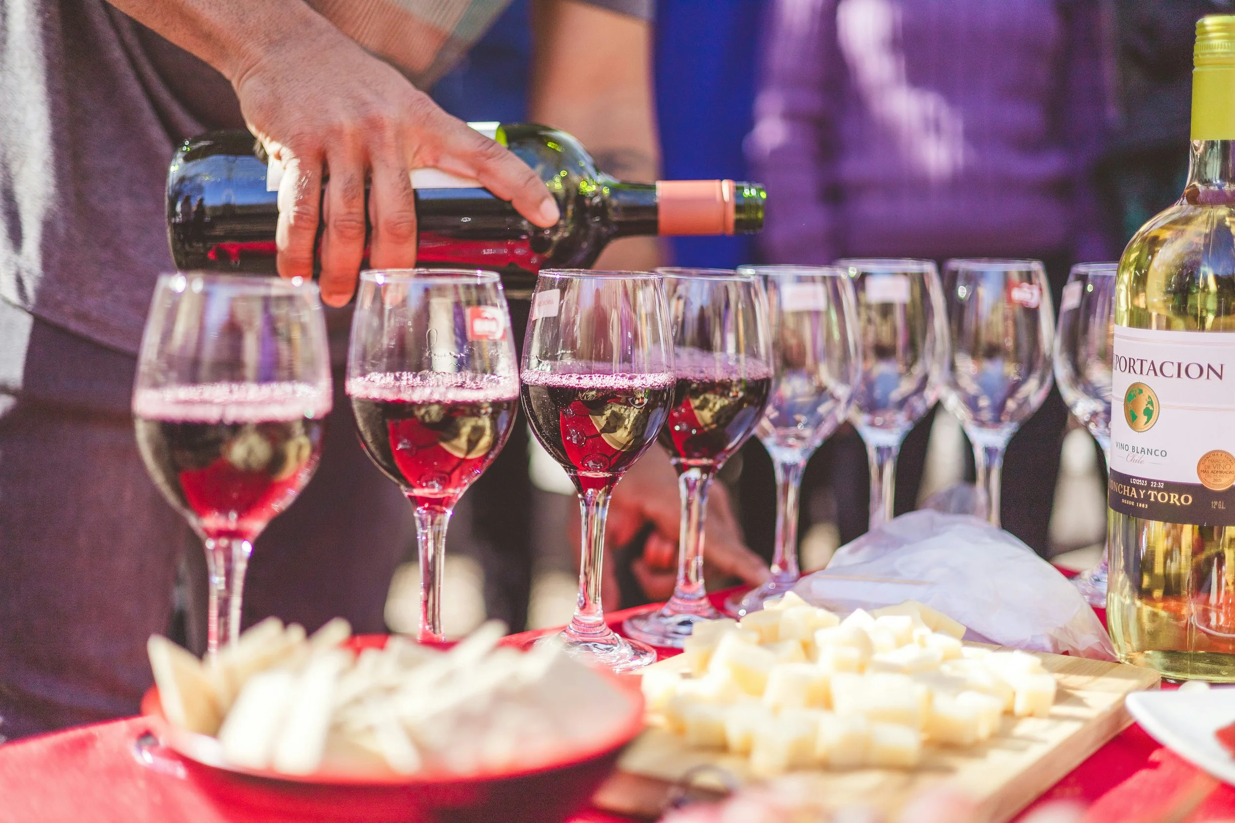 10 - wine harvest.jpg