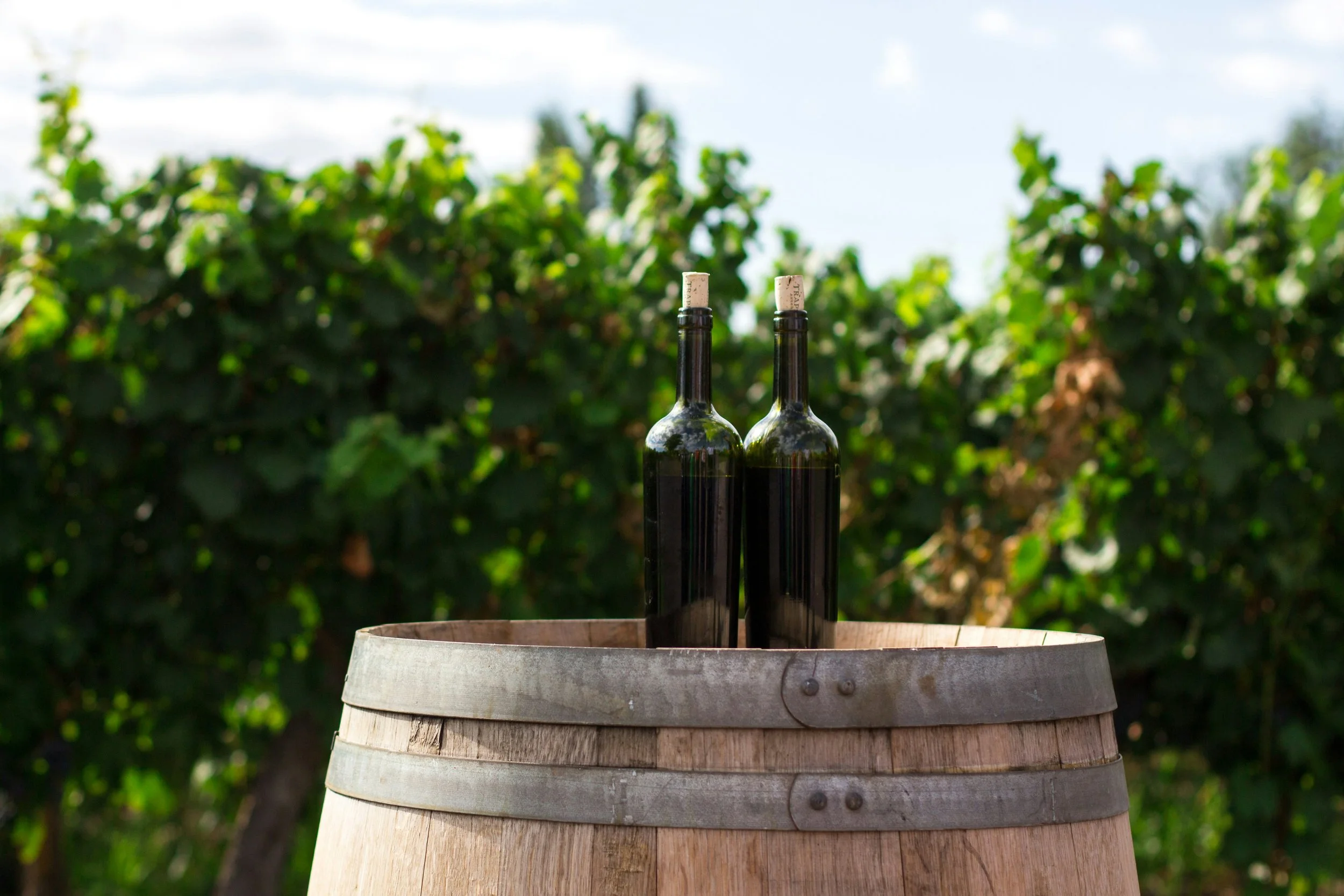 11 - wine cask.jpg