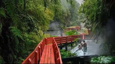Thermal pools and red wooden walkways in a Chilean forest