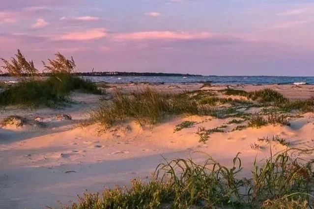 Little. St. Simons marsh and beach