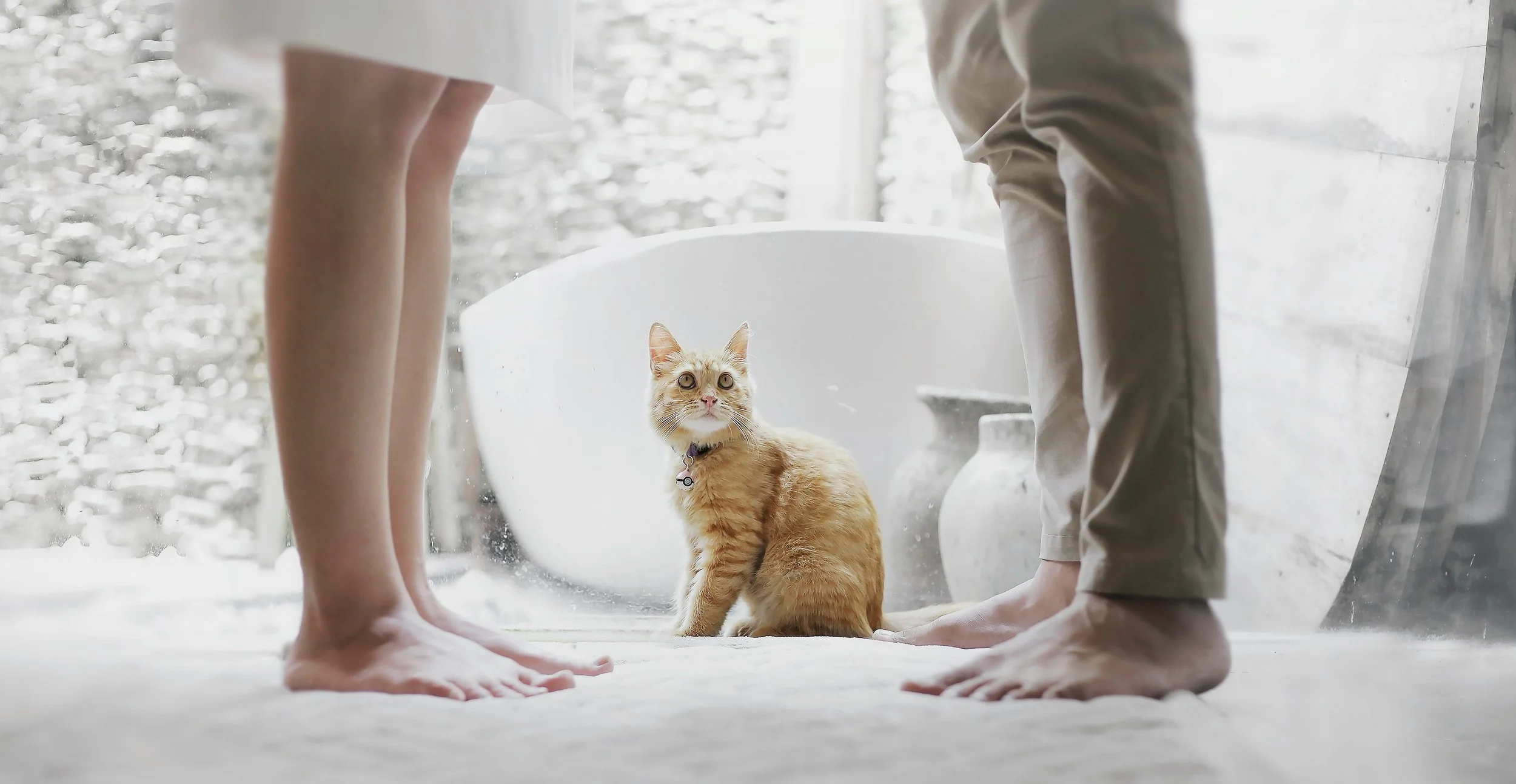 합의이혼과 소송이혼의 차이점