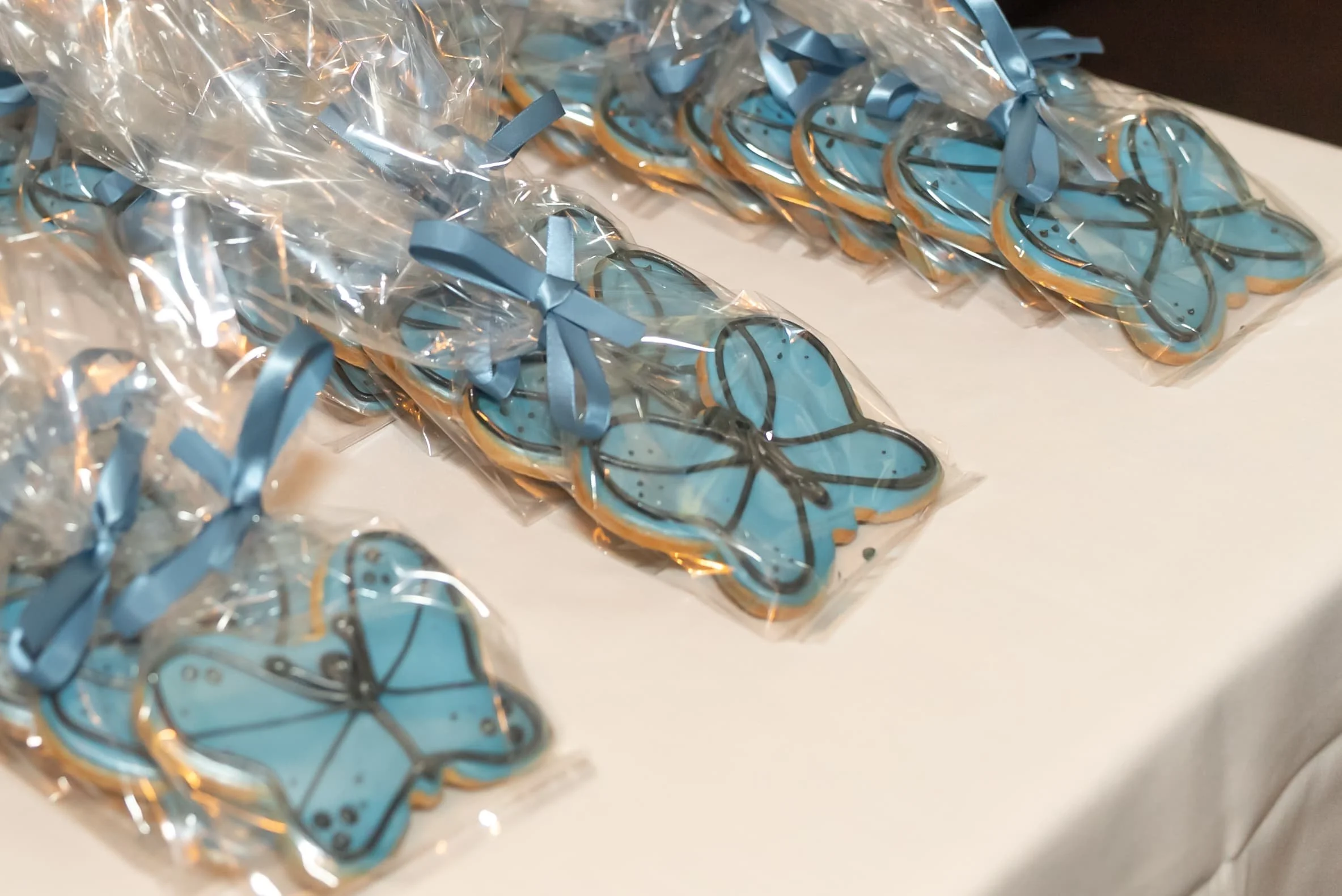 anne-spoldi-book-launch-112 C.jpg