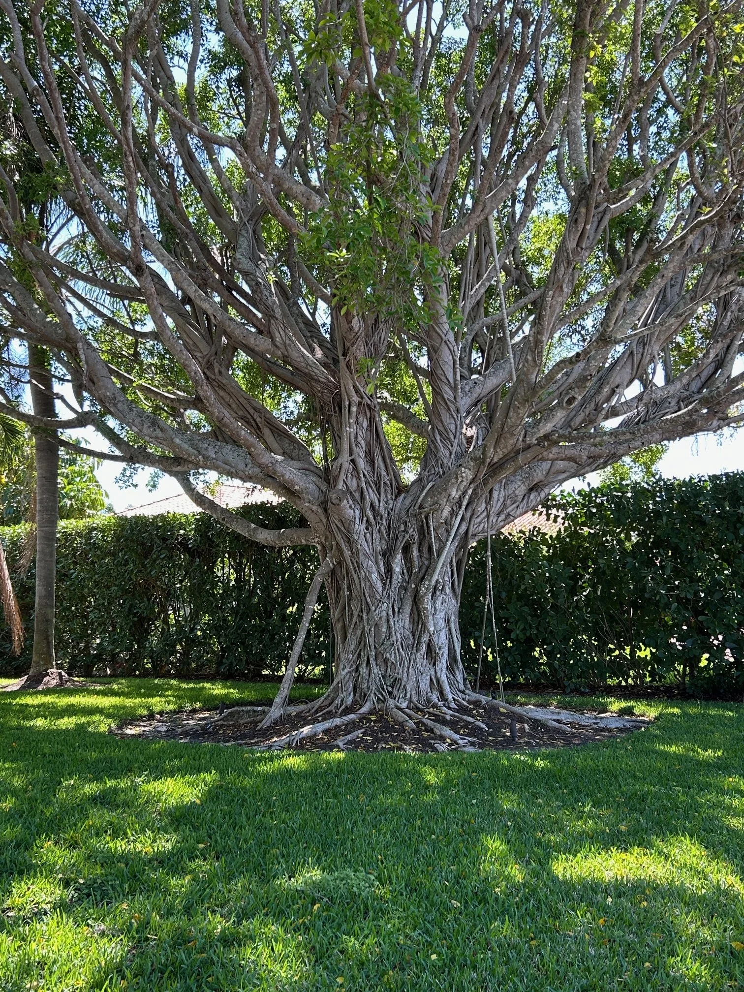 From Reflection to Conversation: An Invitation to Book Clubs