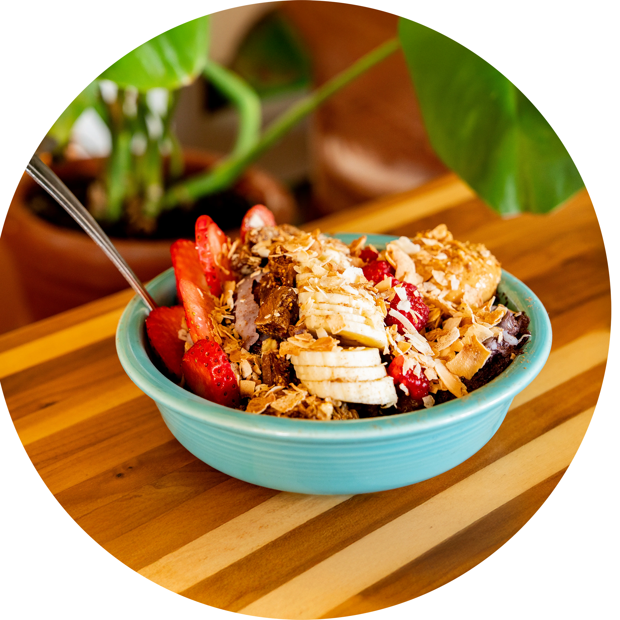 Carioca Bowls