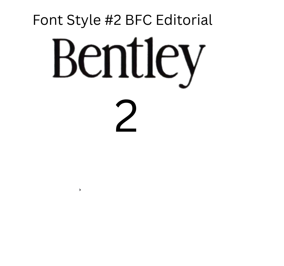 Font+Style+%232+BFC+Editorial.png