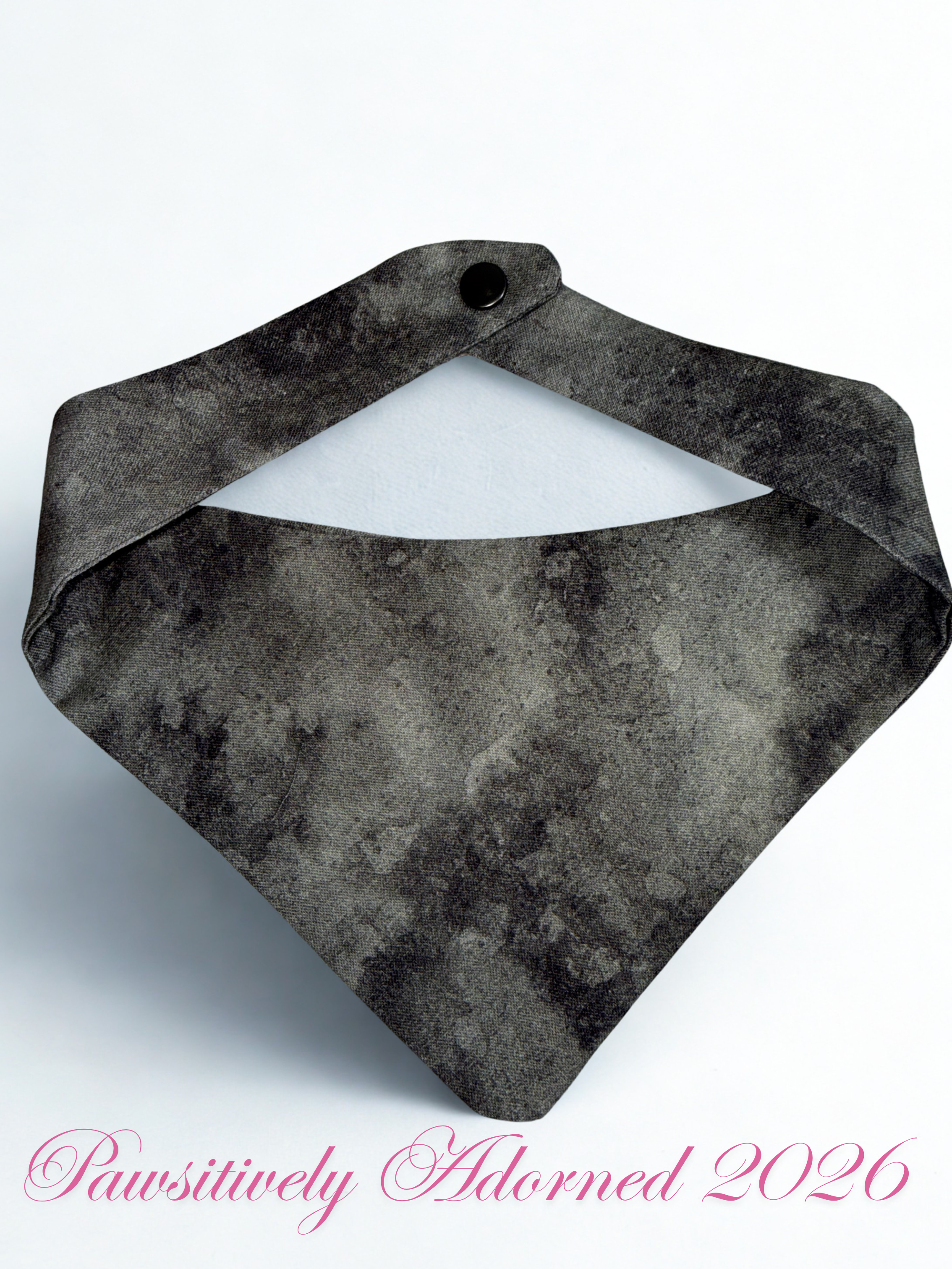 Pawsitively Adorned 2026.png