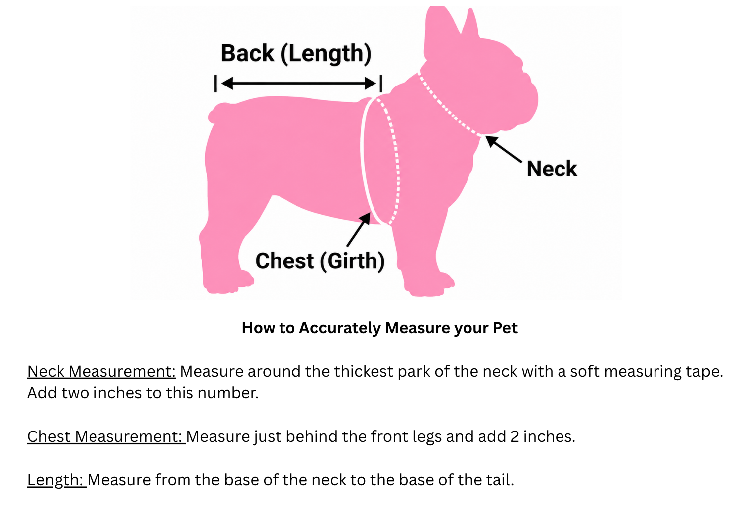 How+to+Accurately+Measure+your+Pet+Neck+Measurement+Measure+around+the+thickest+park+of+the+neck+with+a+soft+measuring+tape.+Add+two+inches+to+this+number.+Chest+Measurement+Measure+just+behind+th.png