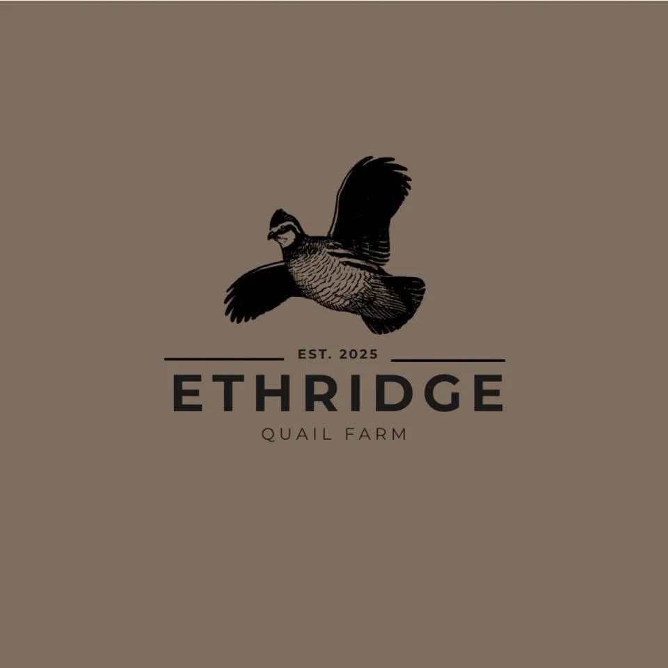 Logo of Ethridge Quail Farm featuring a detailed illustration of a flying quail, with the text 'Est. 2025 Ethridge Quail Farm' on a brown background.