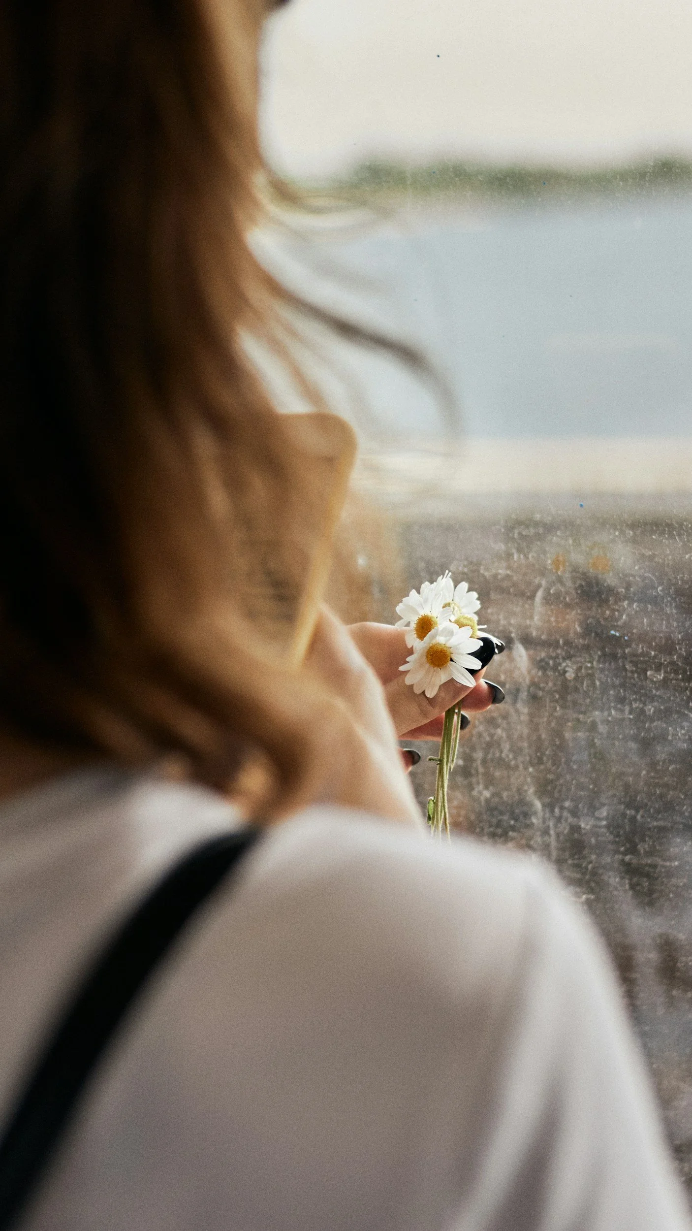 Person with brown hair holding a small bunch of daisies by a window, looking outside.