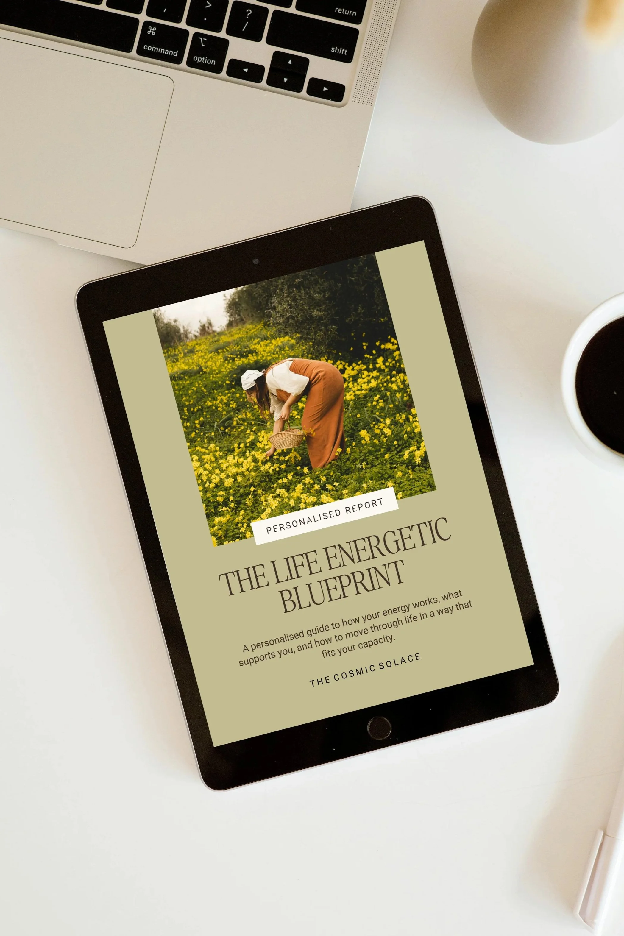 Digital tablet displaying a book cover titled "The Life Energetic Blueprint," with a woman in a field of yellow flowers on the cover.