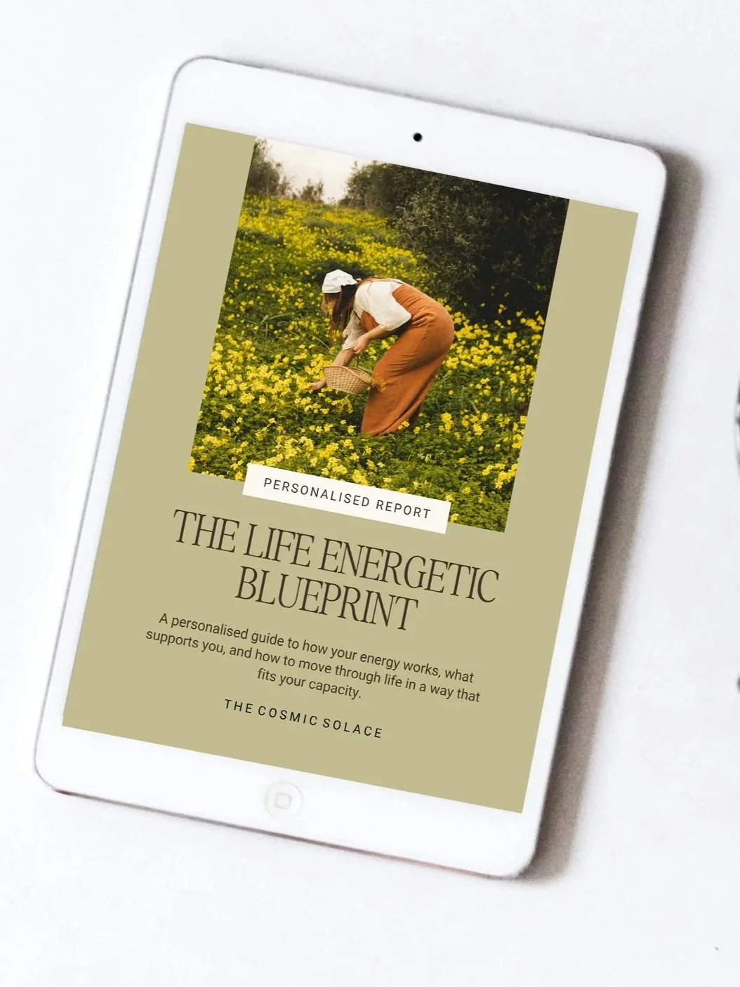 Life Energetic Blueprint
