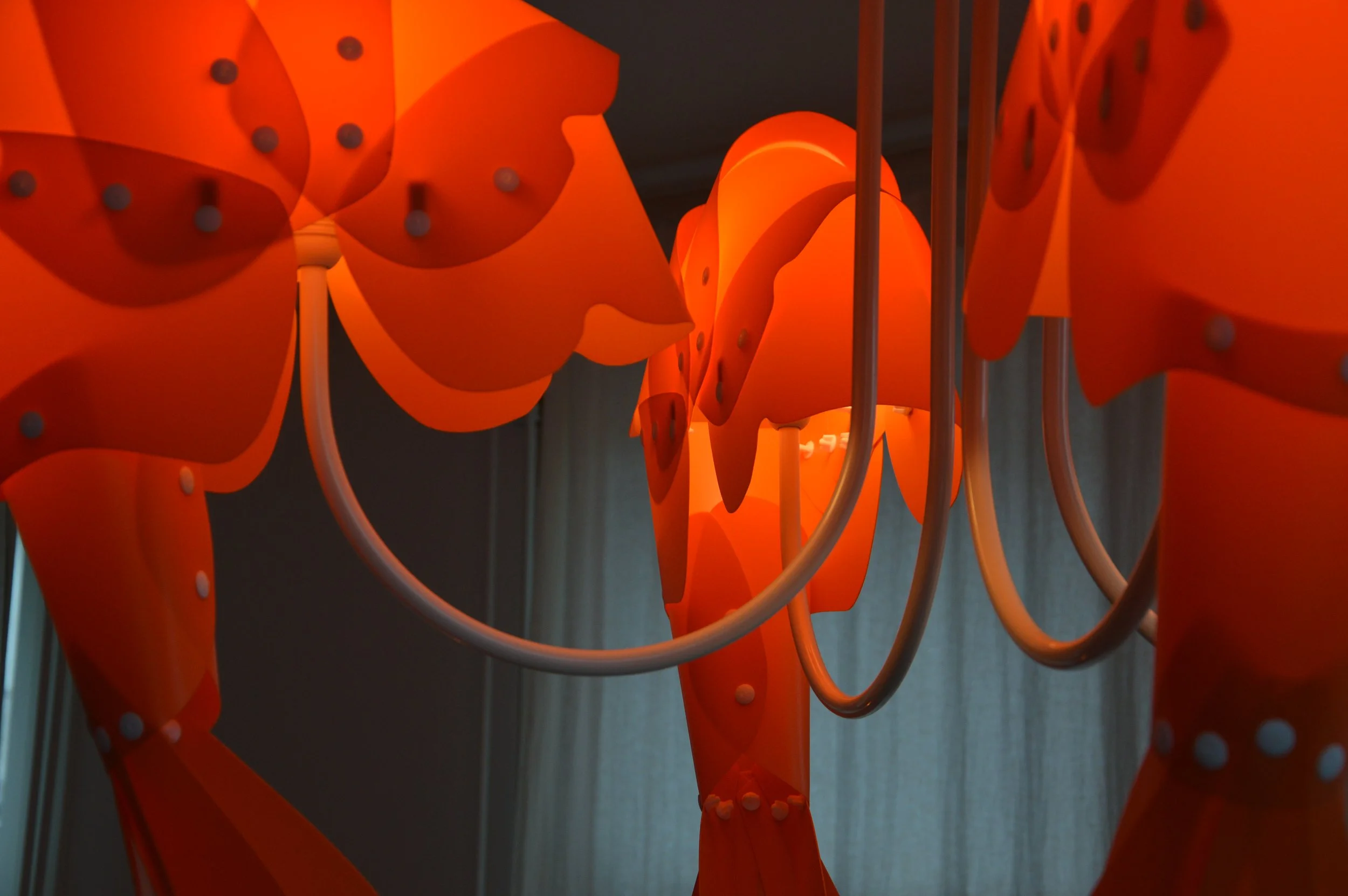 Orange-colored modern chandelier with curved lamp shades and circular light bulbs, hanging in front of curtains.