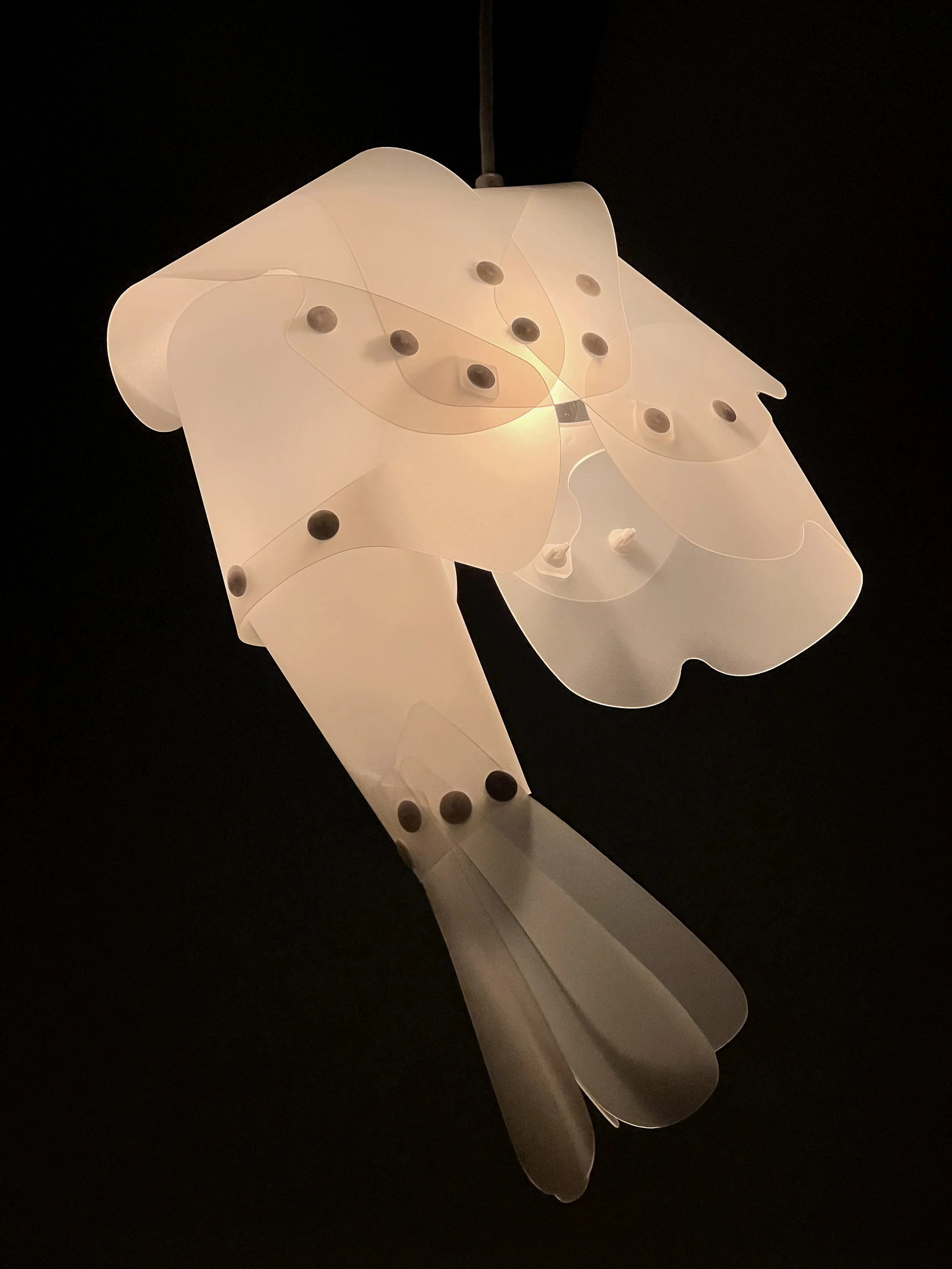 raw shrimp lamp by odject studio amsterdam
