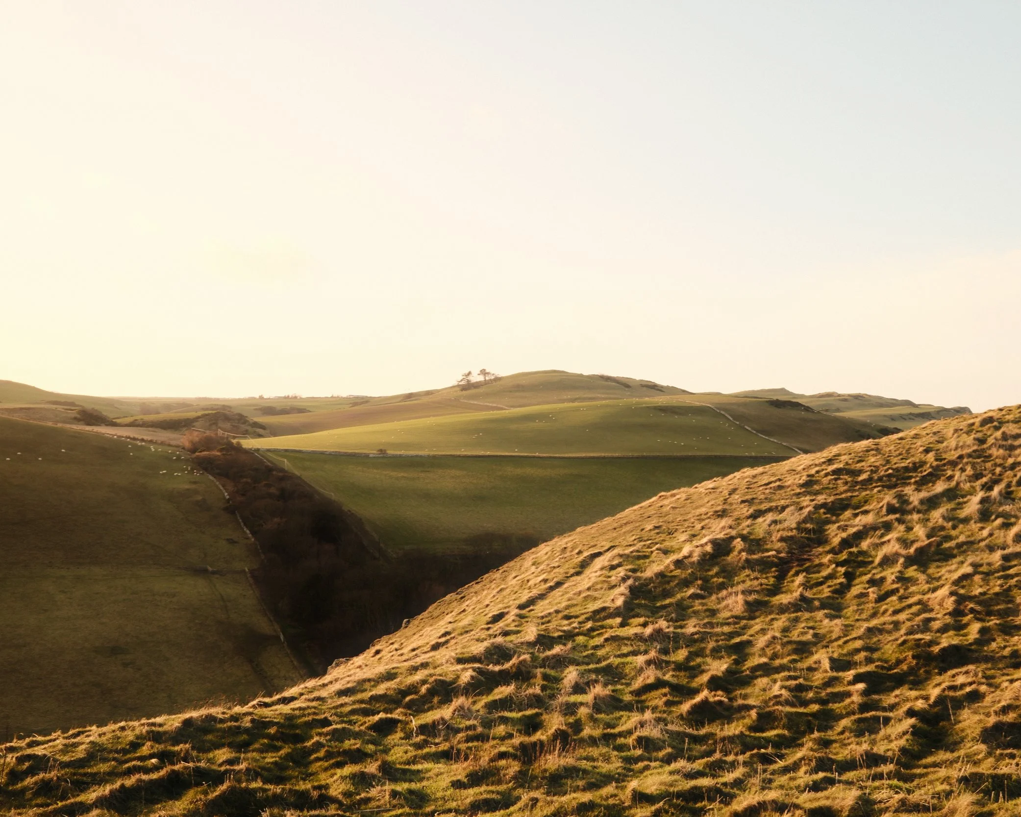 Plain - St-Abbs