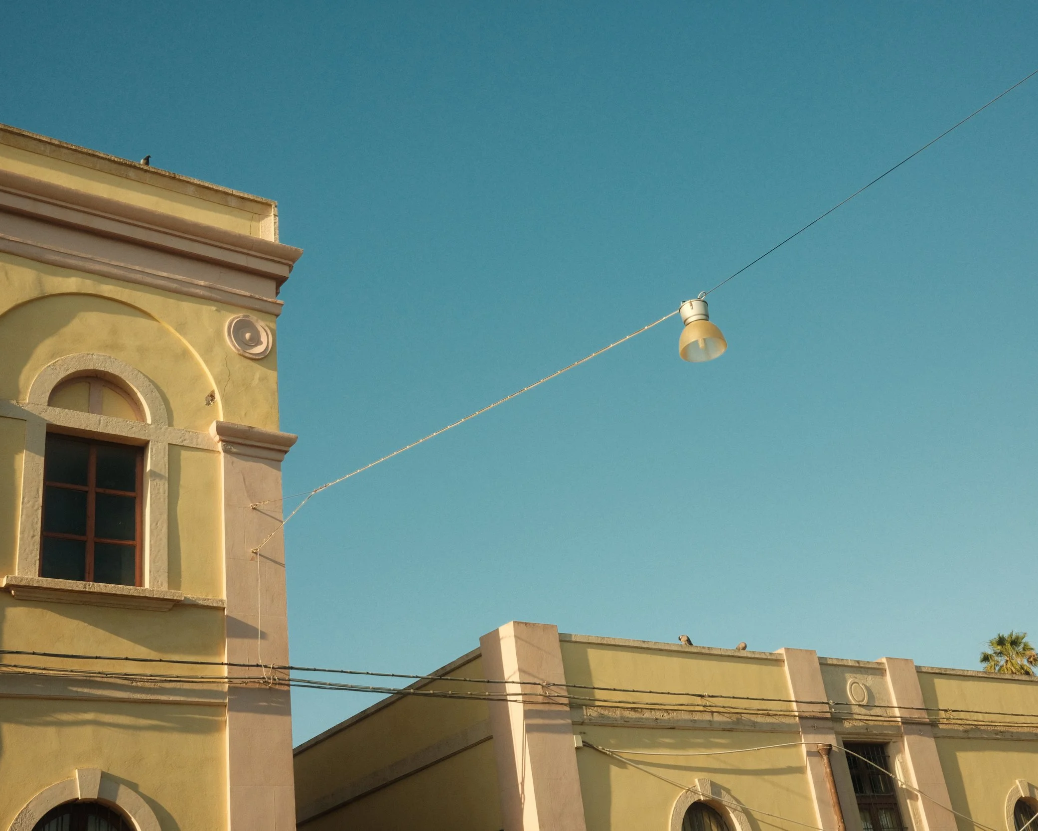 Green house - Sicily