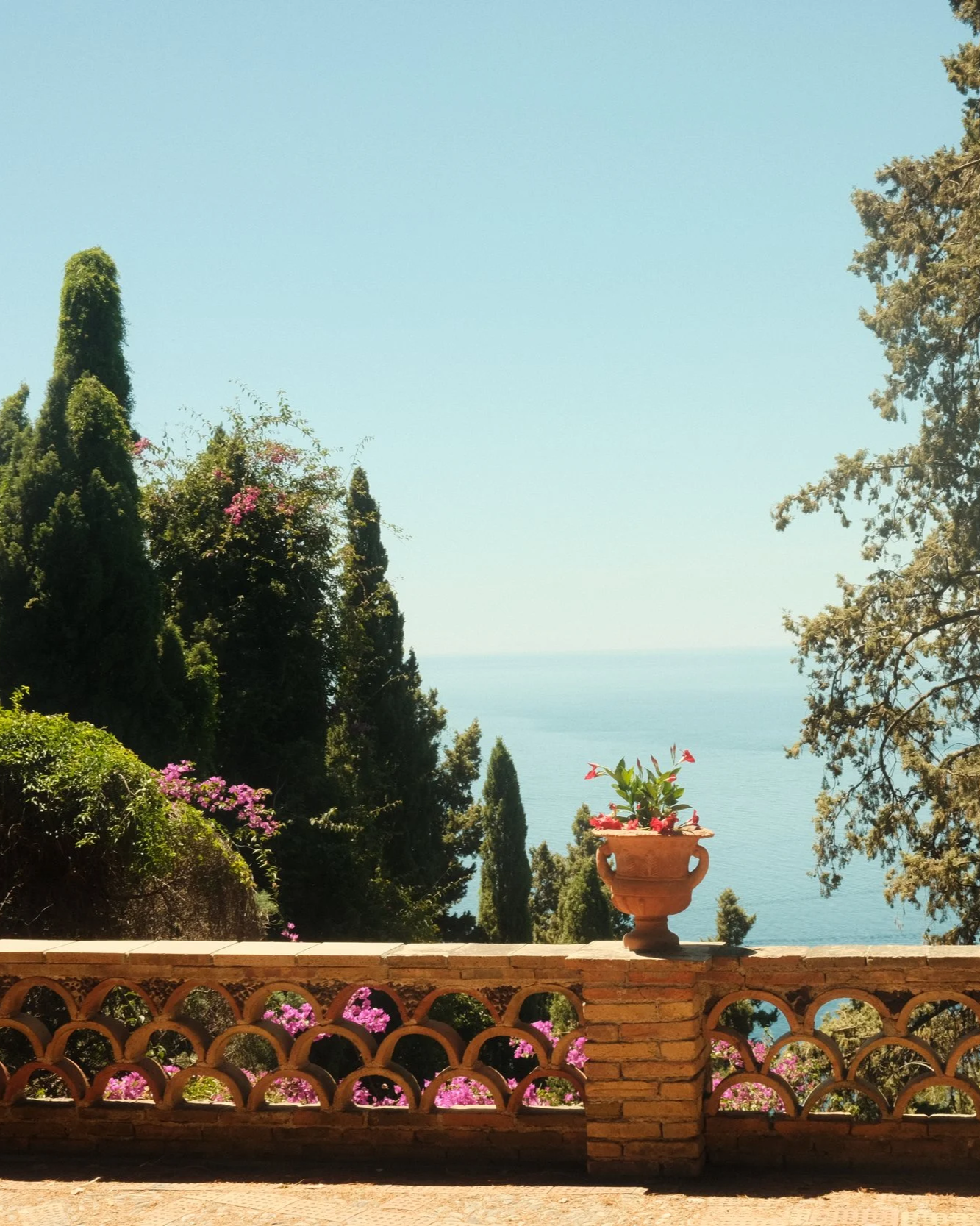 Garden - Sicily