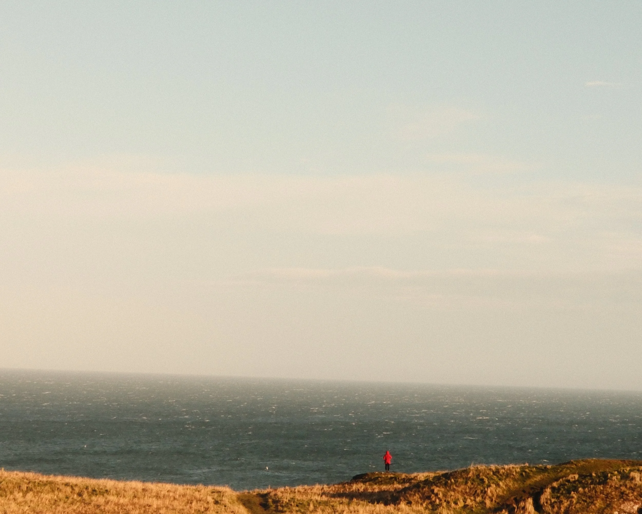 Red Man - St-Abbs