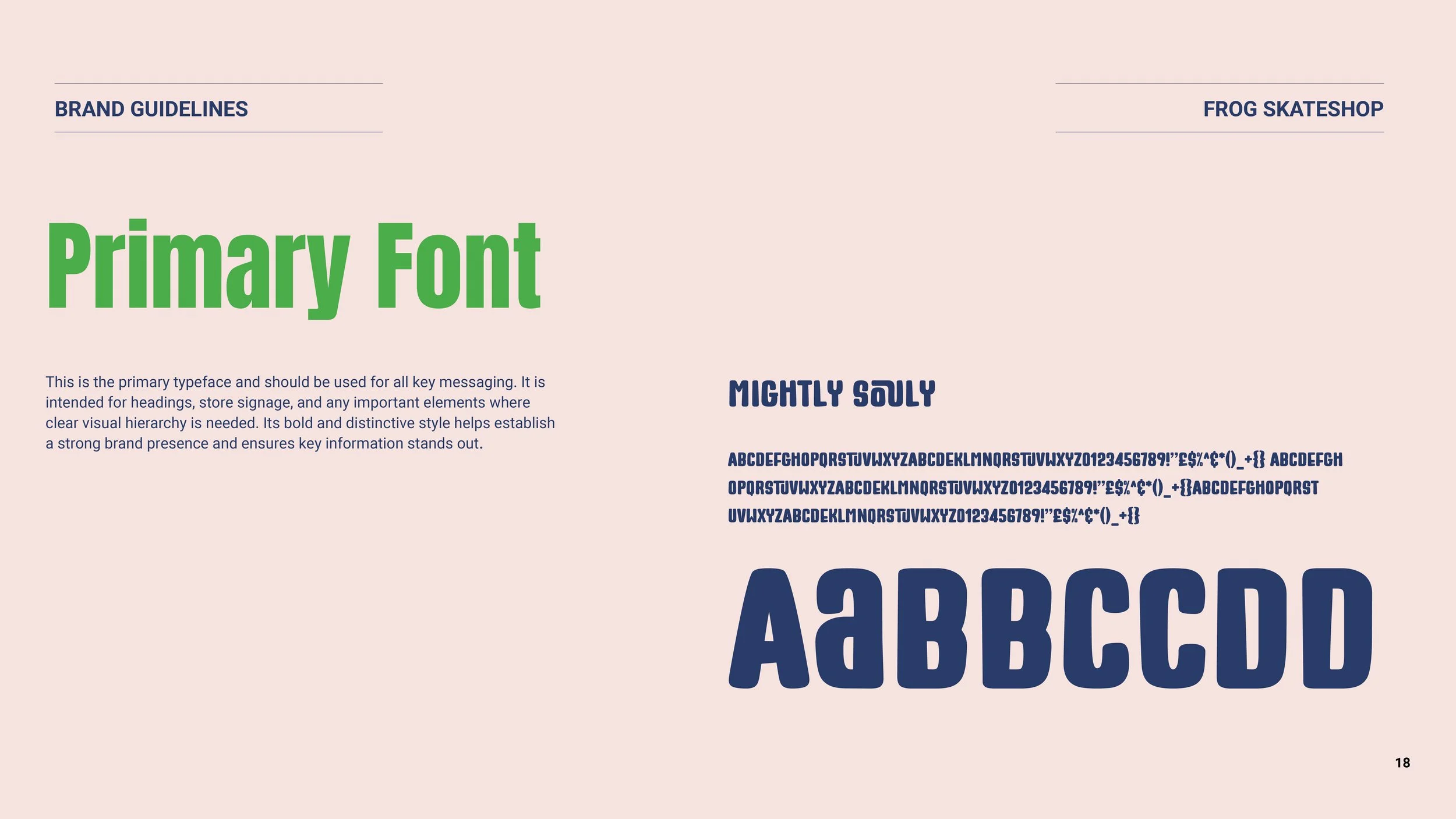 brand guidlines18.jpg