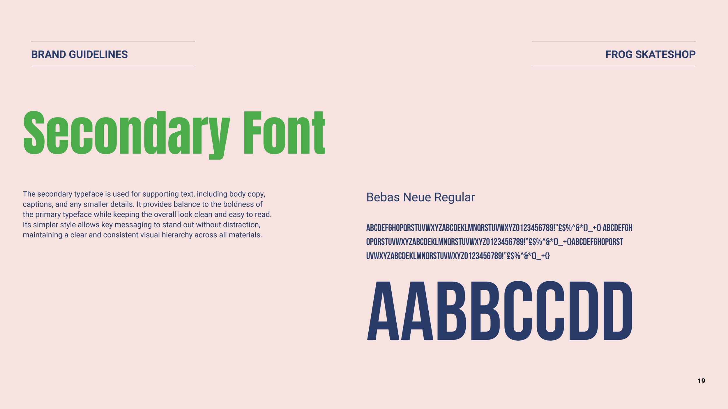 brand guidlines19.jpg
