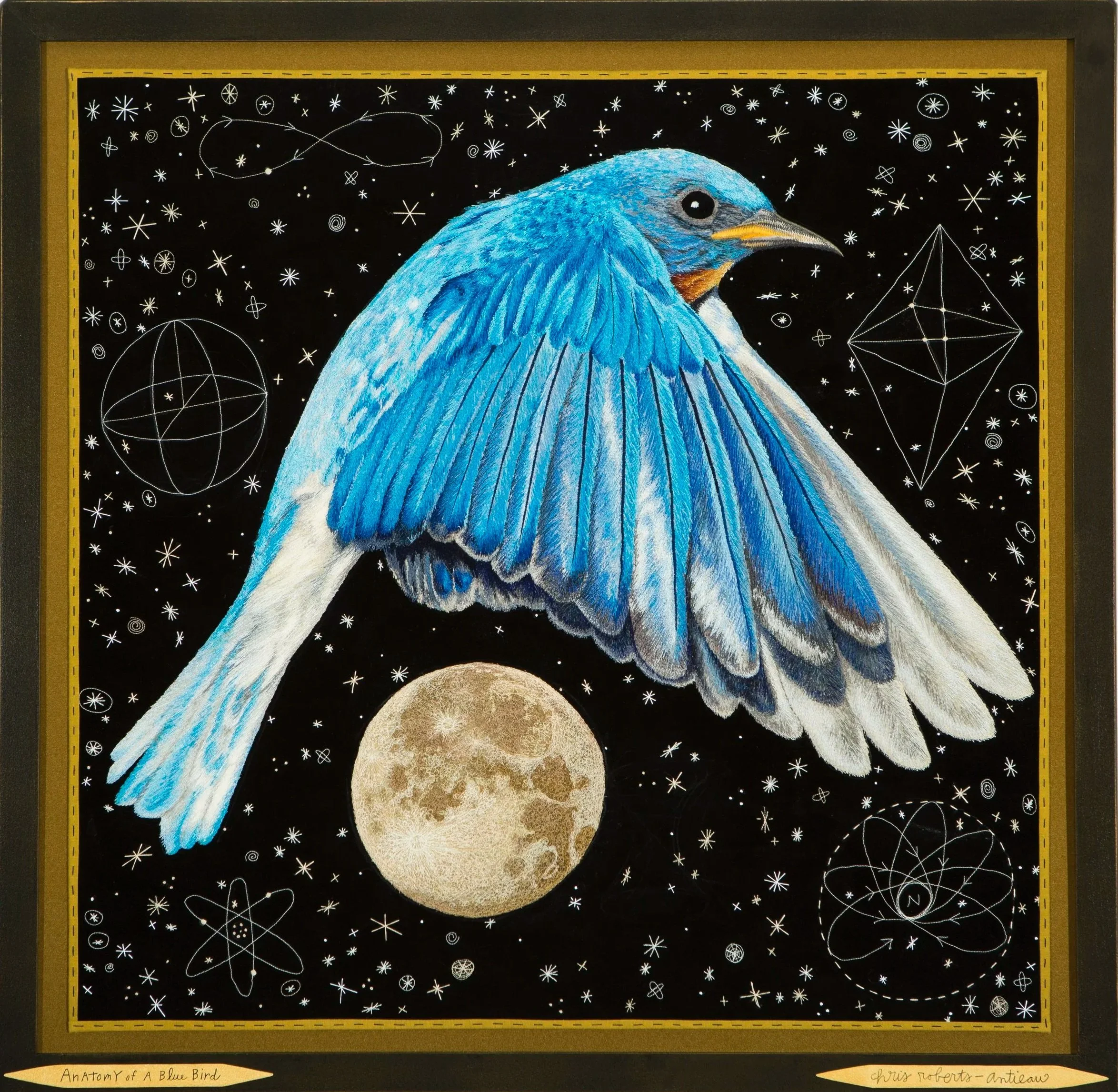 Anatomy of a Bluebird, 27.25" x 28.25", $9,800