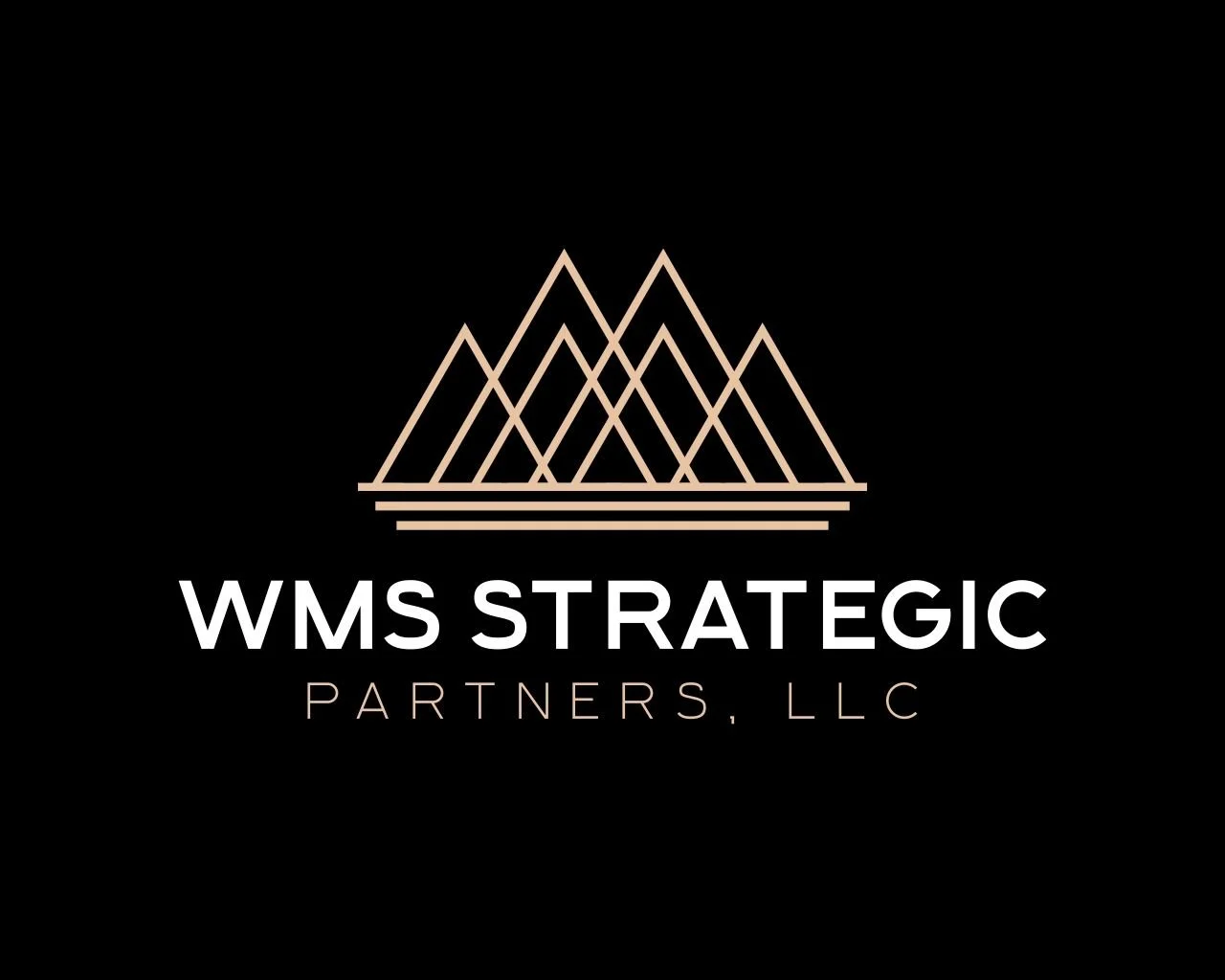 Logo with mountain-like design above the text "WMS Strategic Partners, LLC" on a black background.