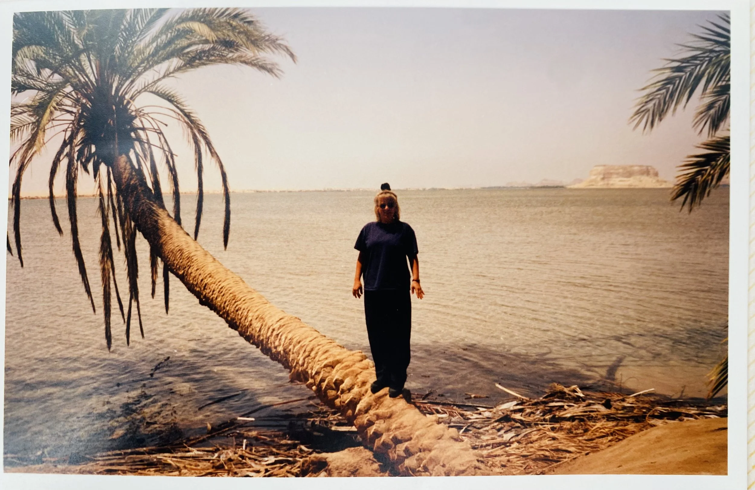 The Rooftop, the Wine, and the Woman Who Changed Everything