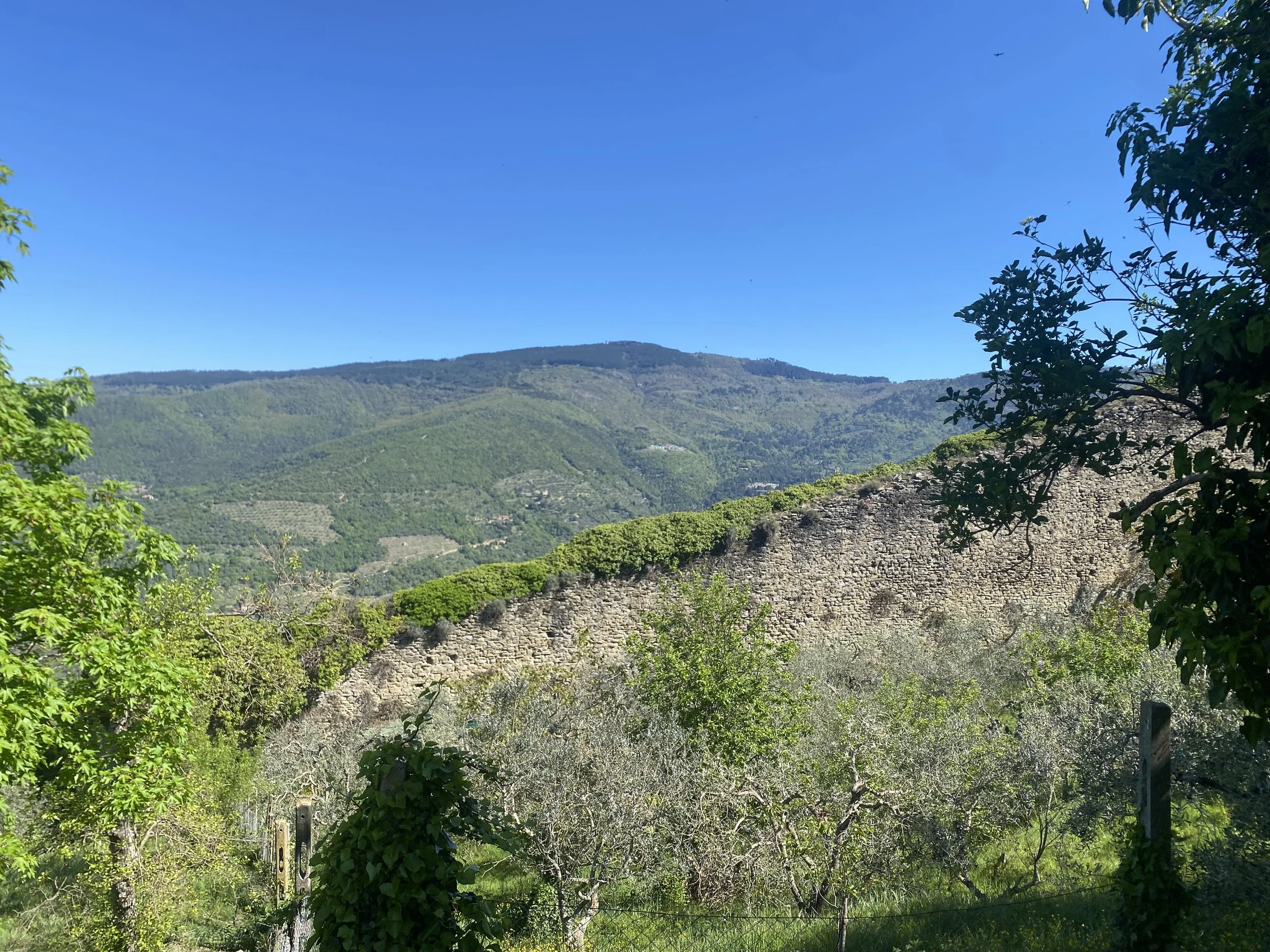 Mountains / wide landscape