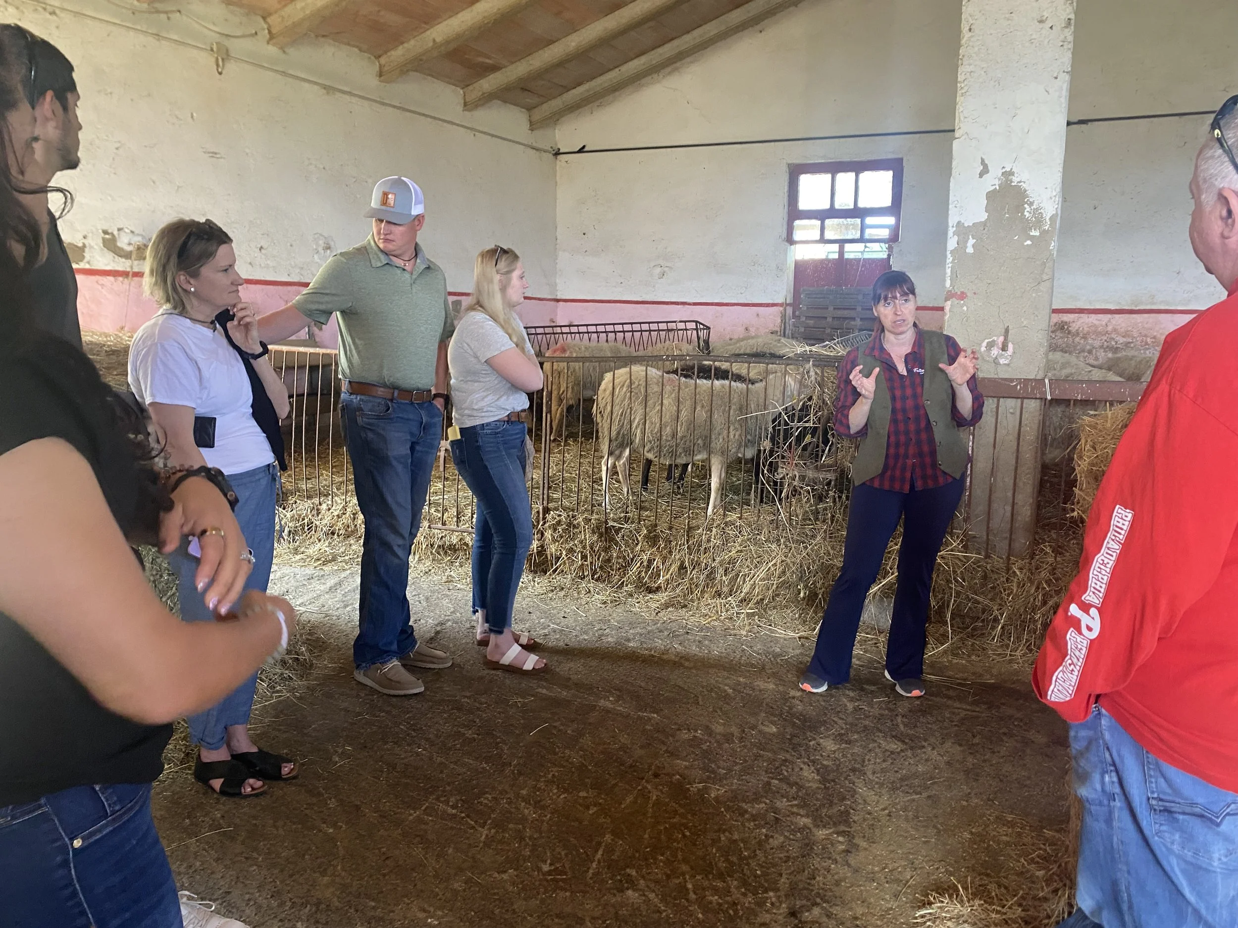 Farm Tour at Fattoria Bistecca