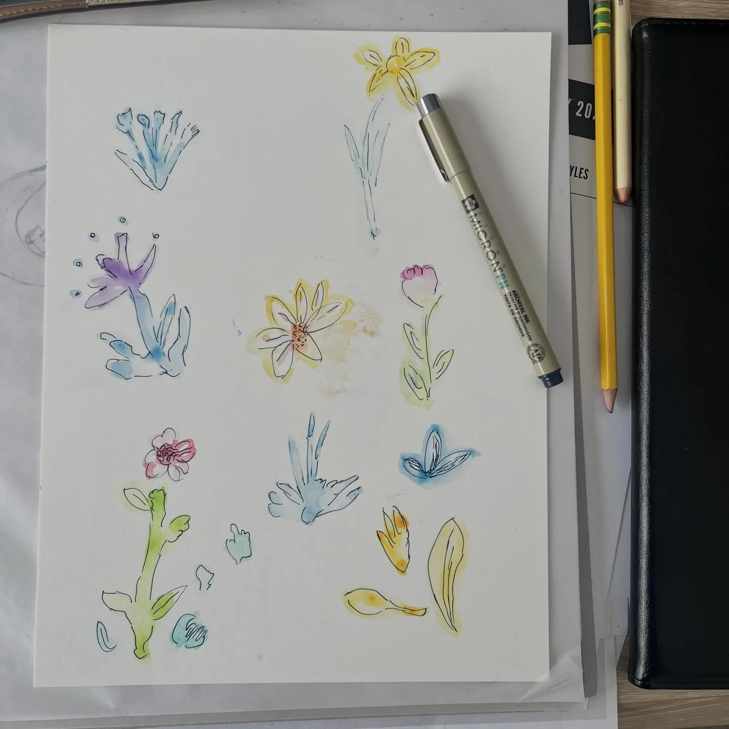 Early morning watercolours while it was a bit to dark to work out the colours, and what exactly was landing on the page, but it was fun not knowing what would happen. Finished with a micron pen to outline the shapes. I will now file it away to find i