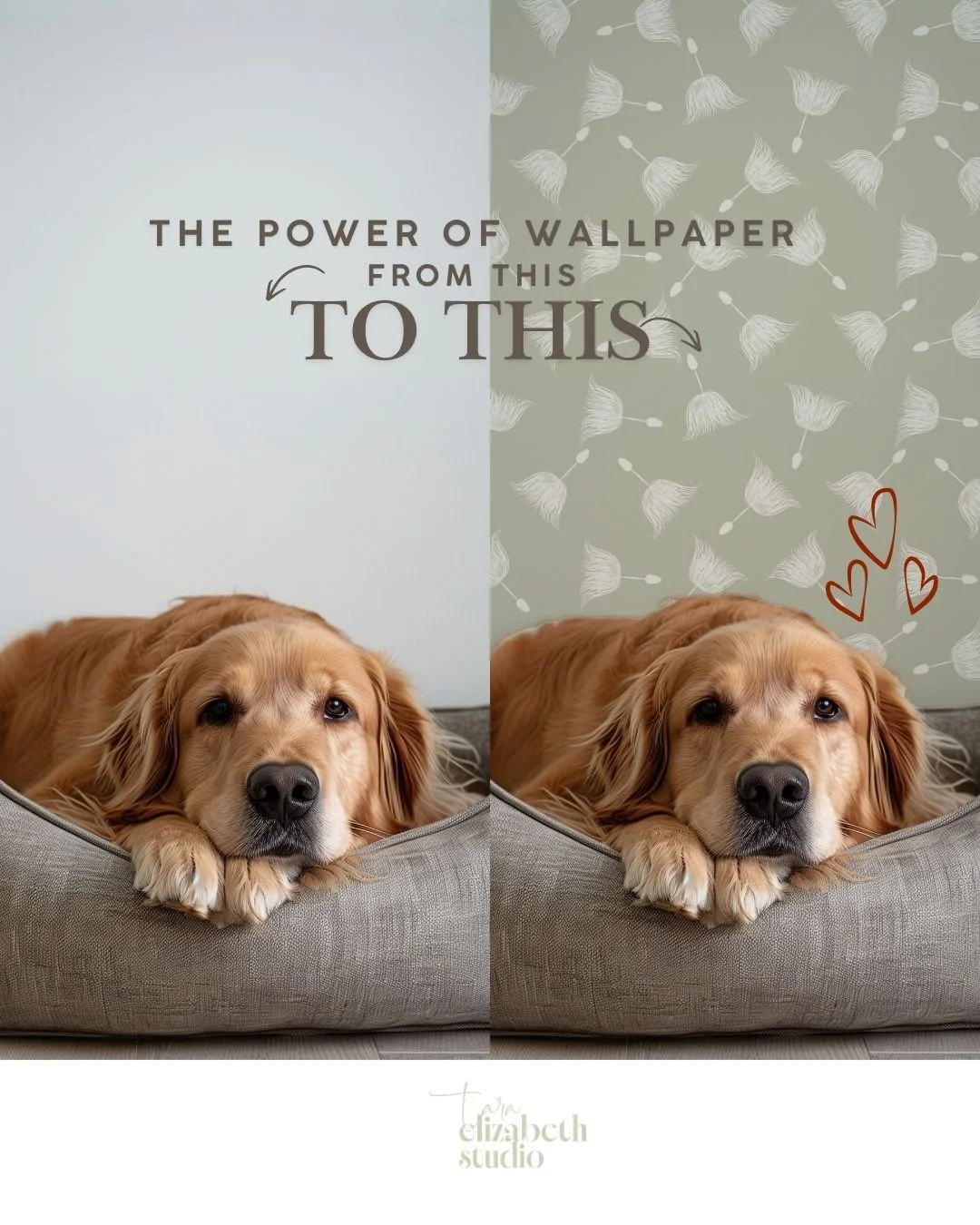 Wallpaper can take a room from painted to perfection.

Swipe for wallpaper that has 100% happiness guaranteed. 

Even the adorable dog things so too. ❤️❤️❤️

@happywall_com has their September sale on of 15% off all wallpaper. Shop now!!!