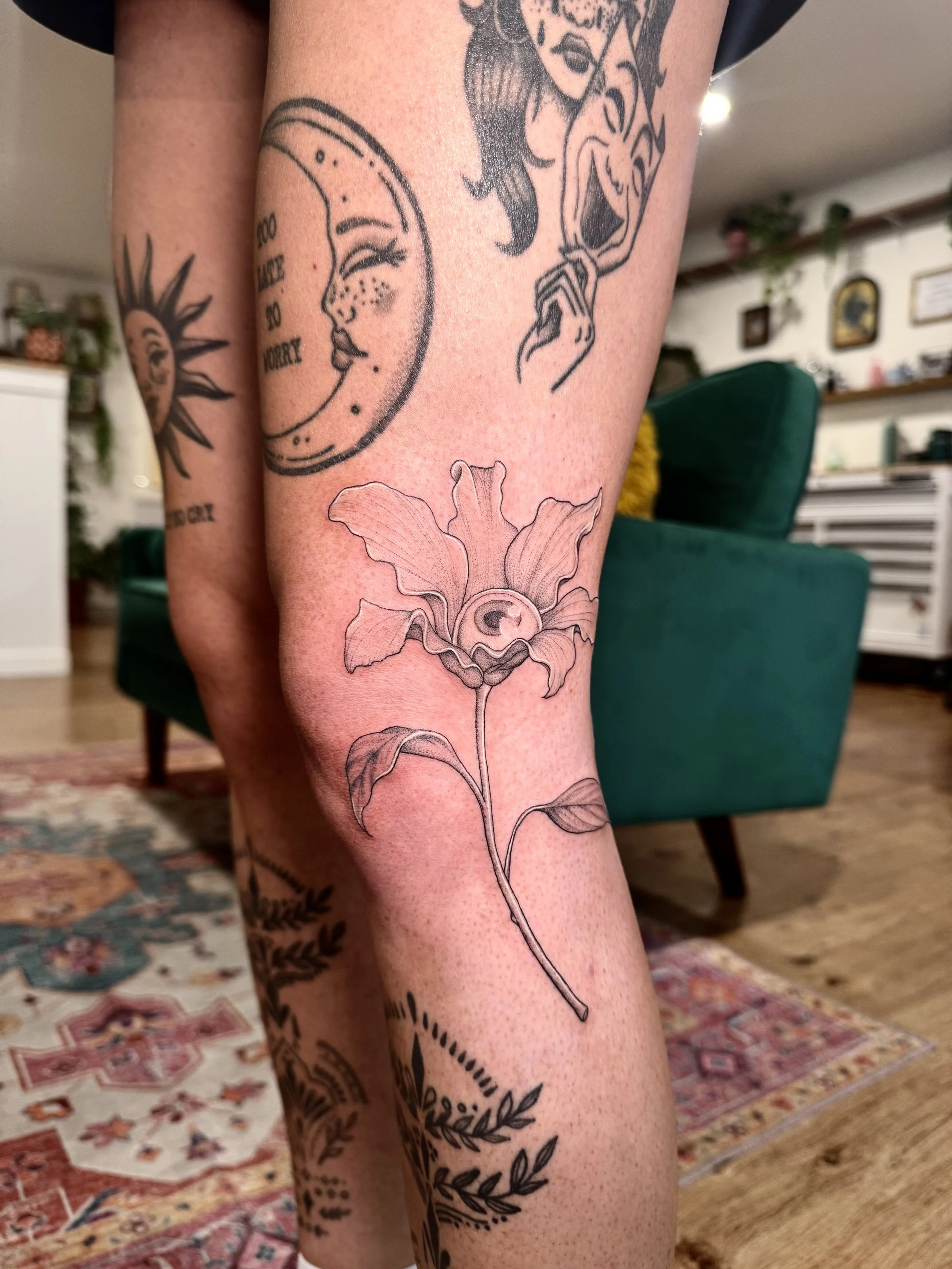 IMG_8103.jpeg