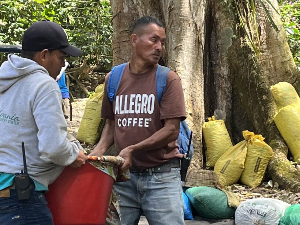 Selva Negra: A Solo Traveler’s Guide to Nicaragua’s Famous Coffee Estate